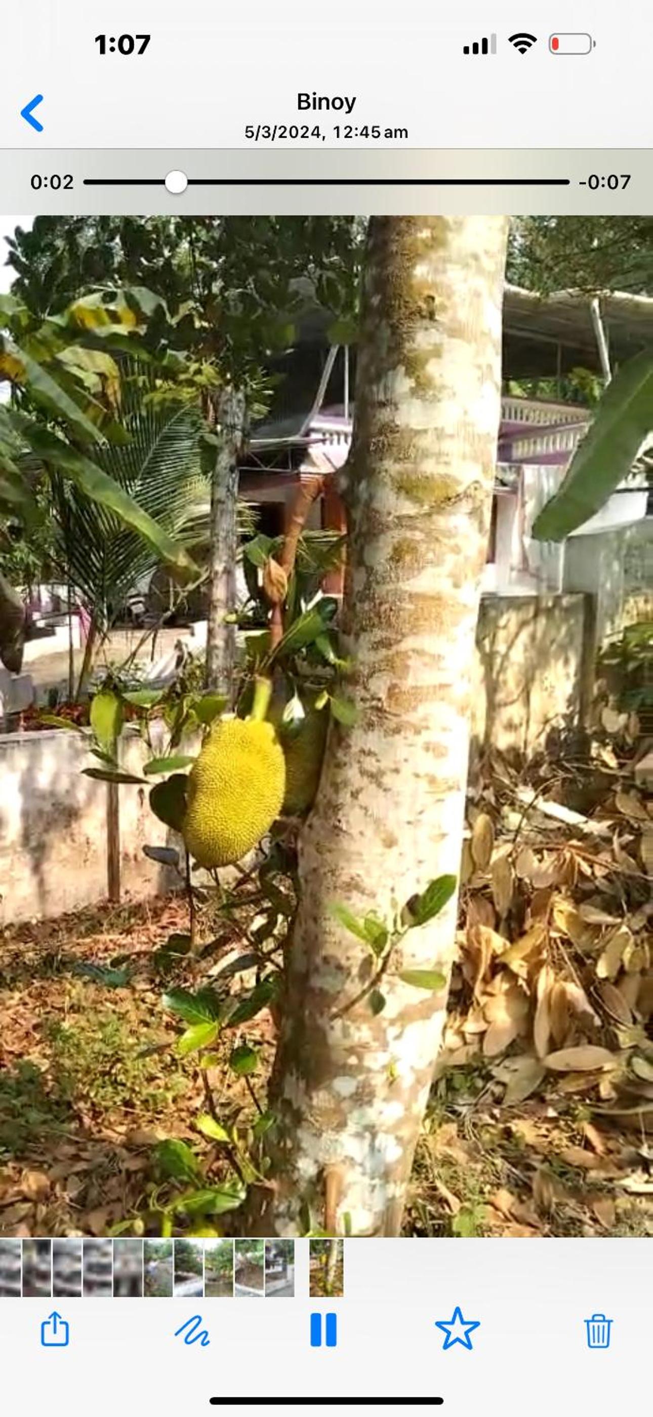 Holiday homes in kidangoor kottayam kerala view 5