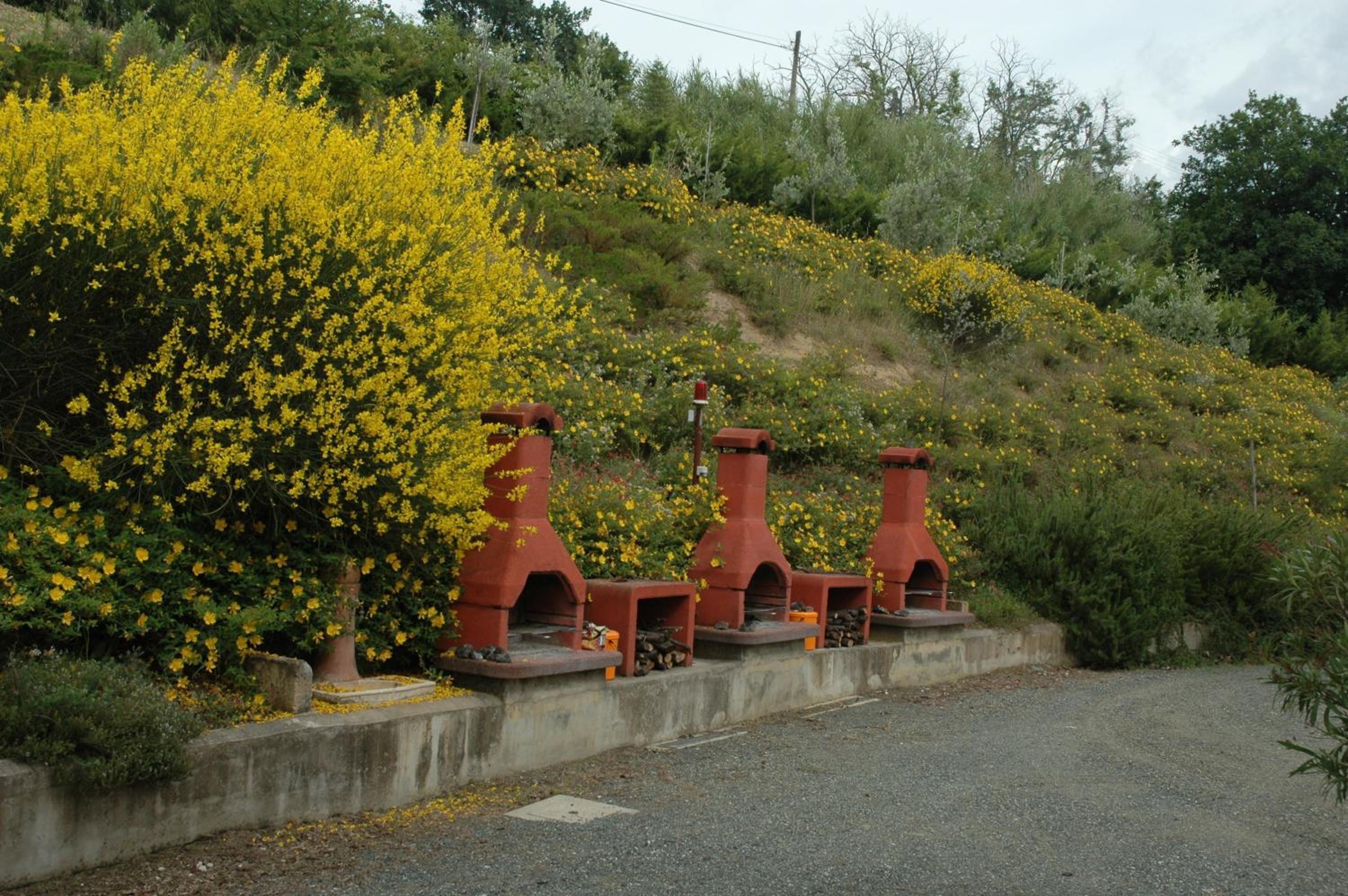 Tenuta Moriano