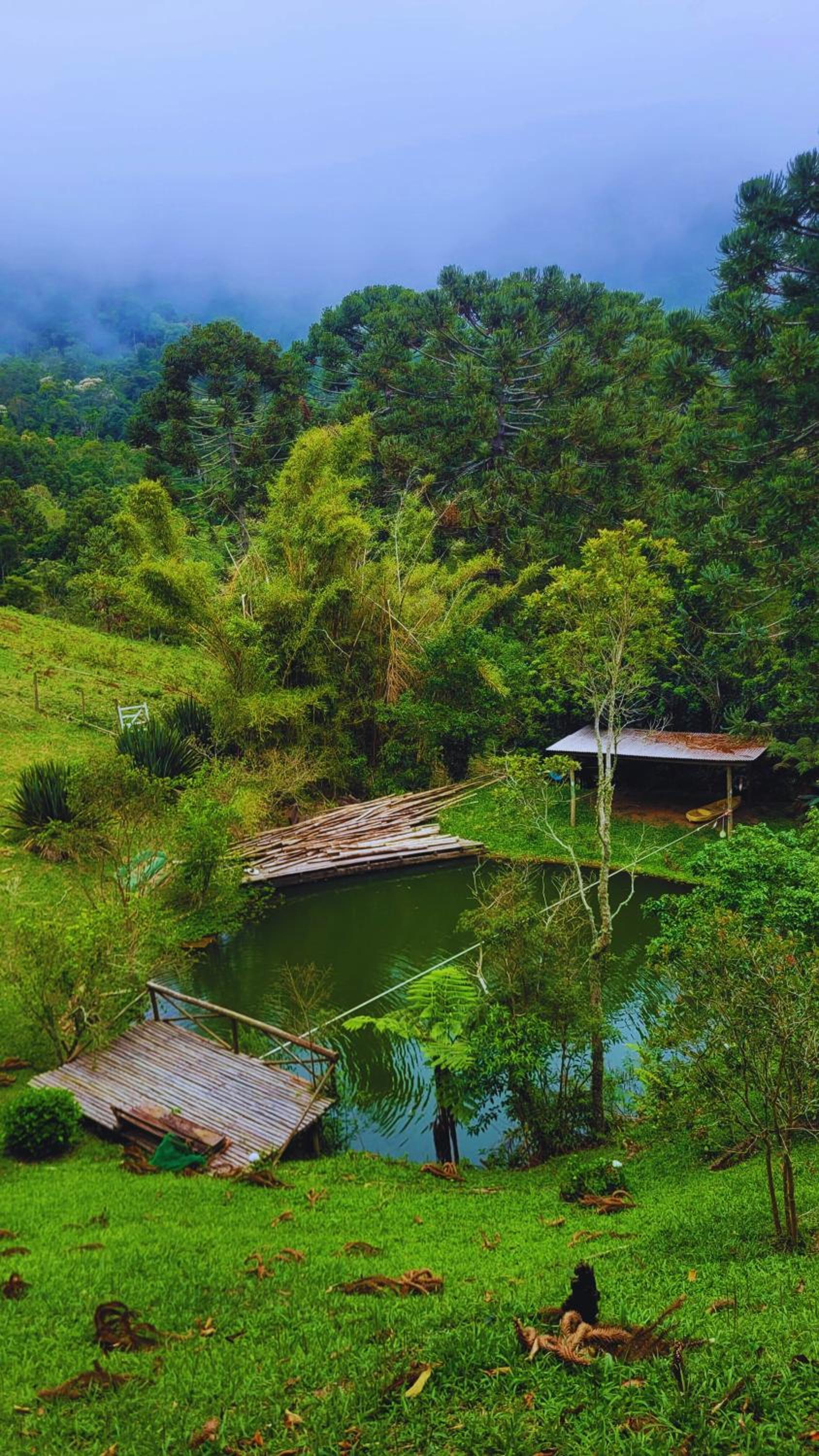 Chalés Nova Friburgo