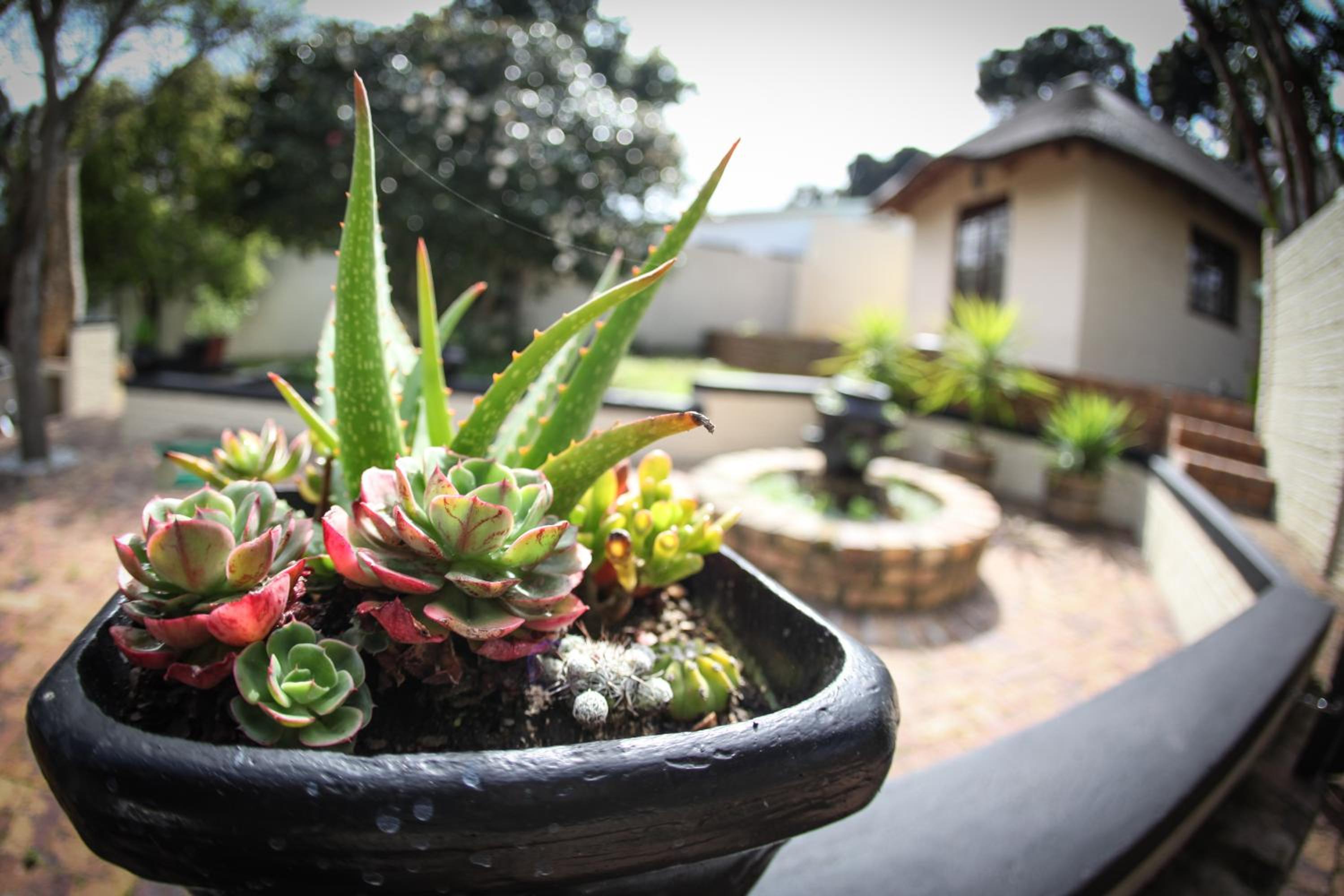 Winelands Villa Guesthouse and Cottages