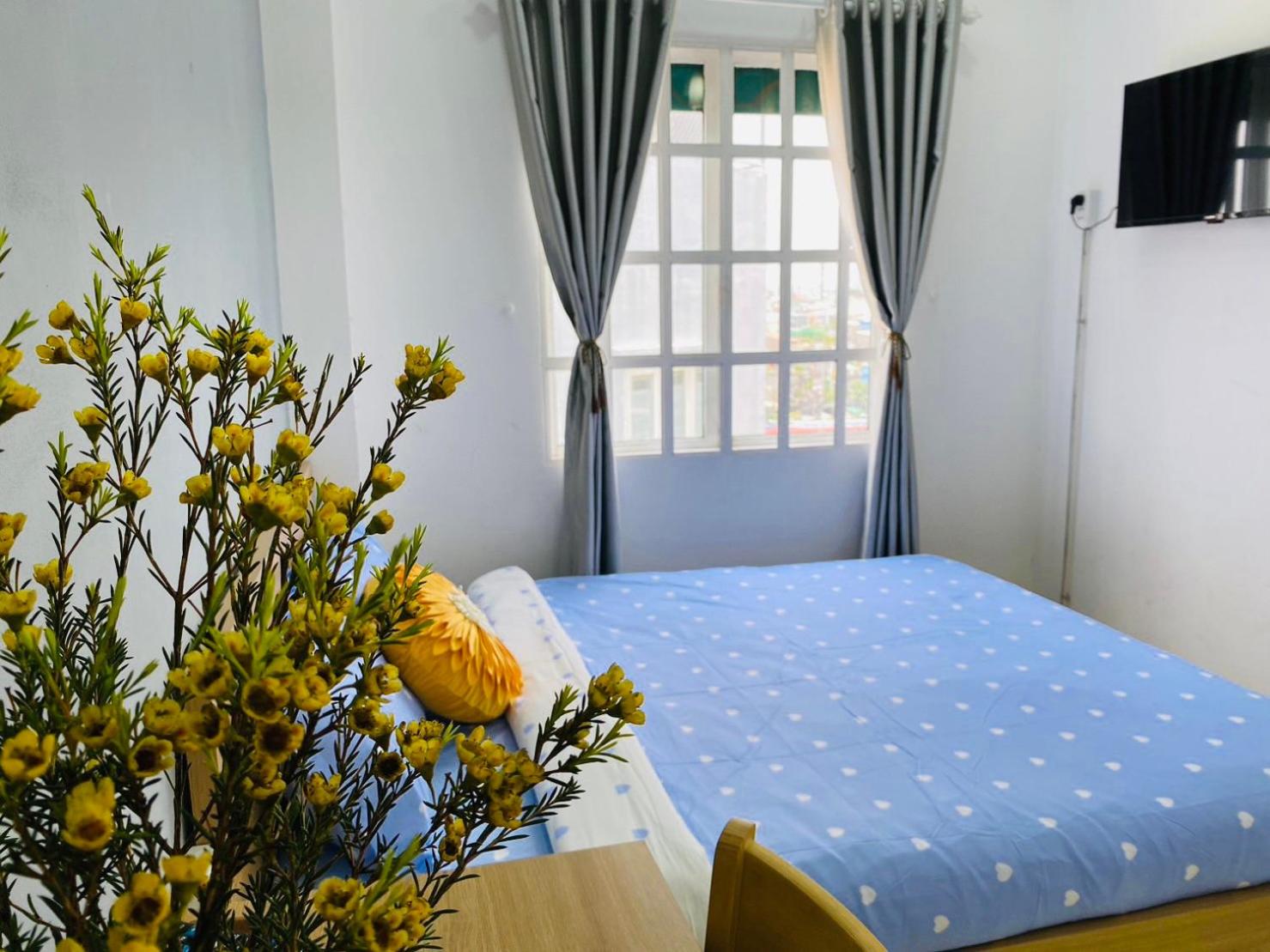 TYN Apartment