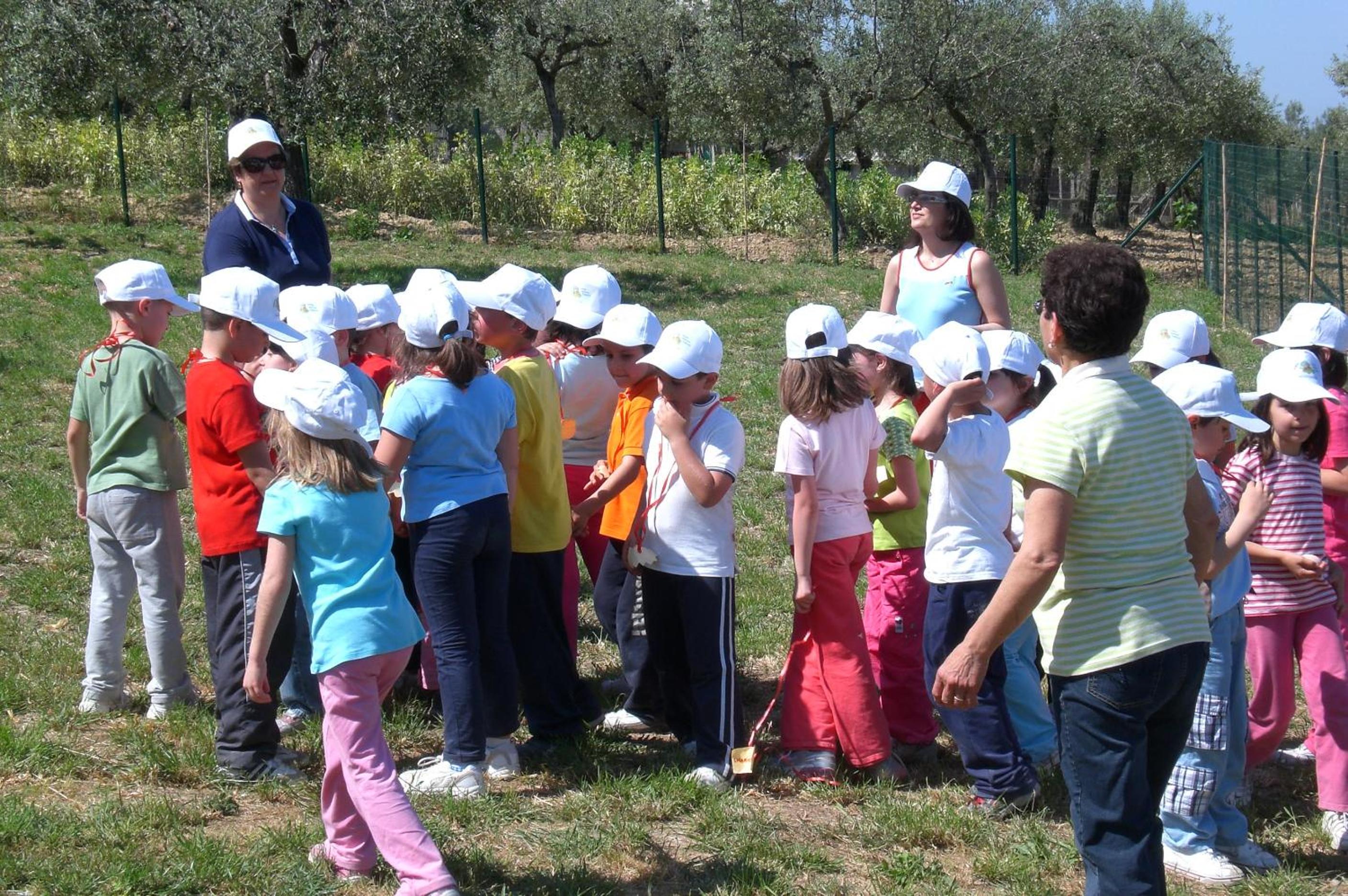Angelucci Agriturismo con Camere e Agri Camping