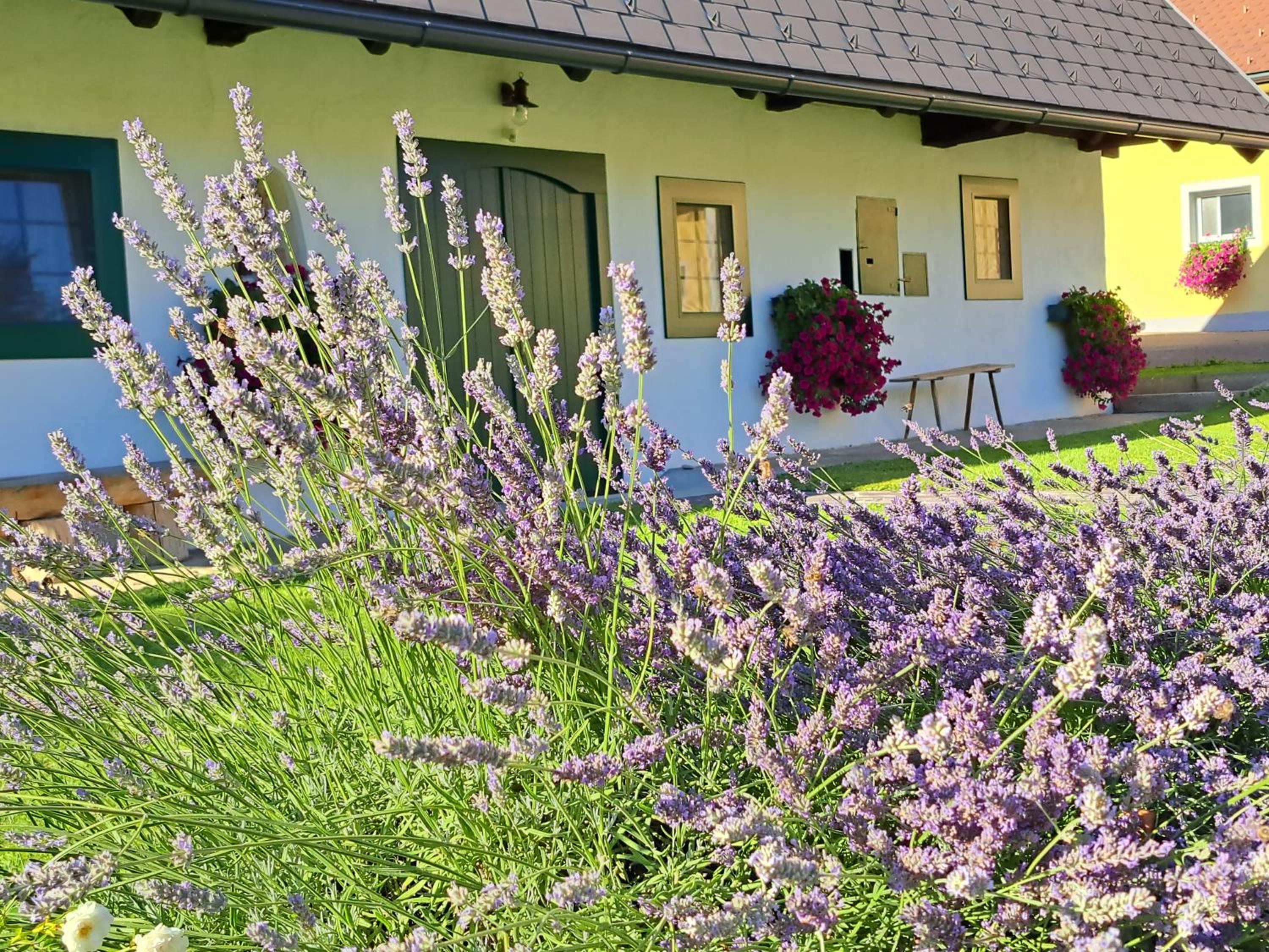 Ferienhaus KAUSCHLERHOF