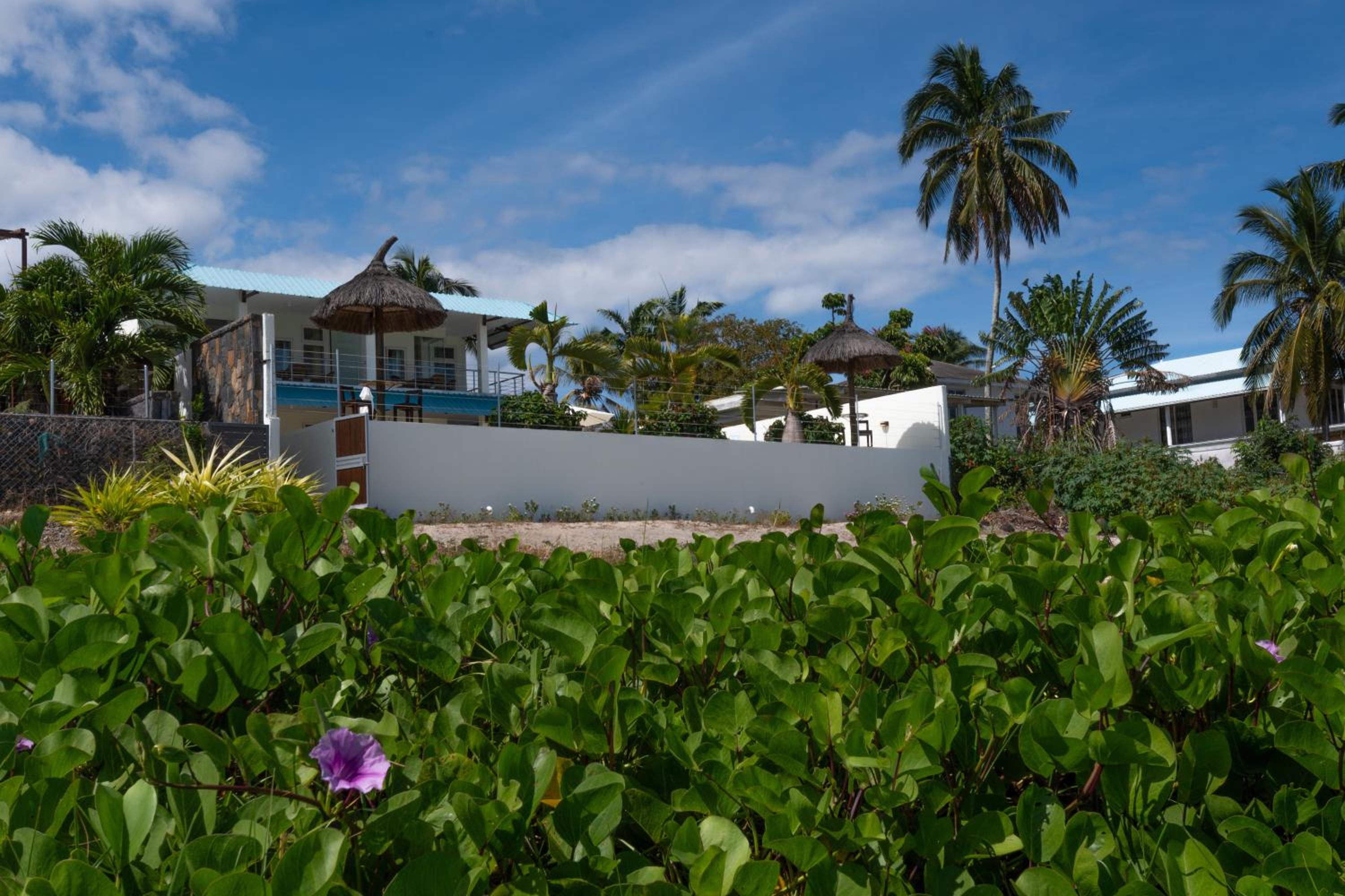 Beachfront Vista