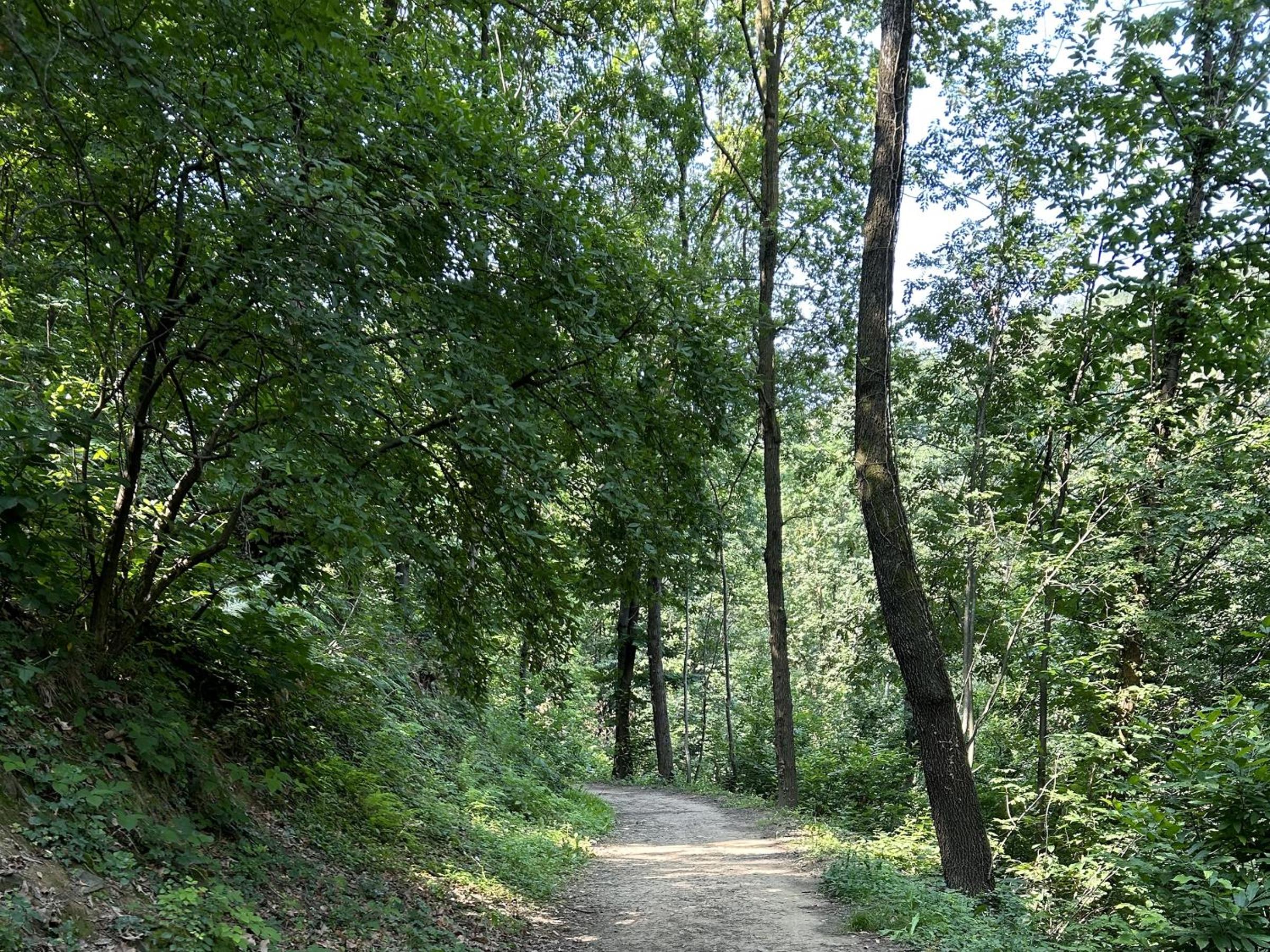 Il Giardino di Berbech Città Alta-Stanza Ulivo