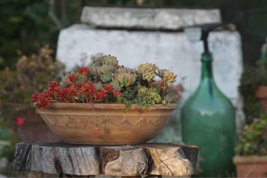 trullo primitivo