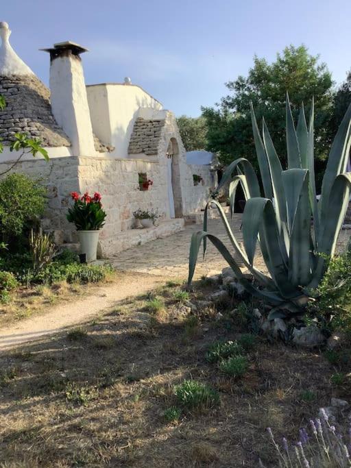 trullo primitivo