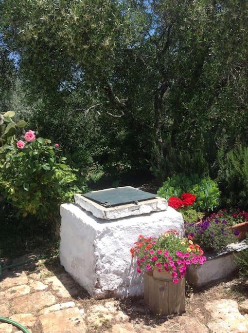 trullo primitivo