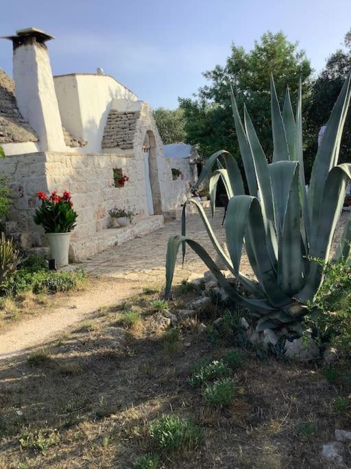 trullo primitivo