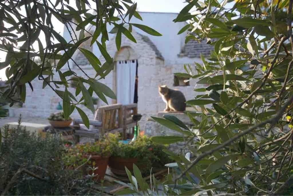 trullo primitivo
