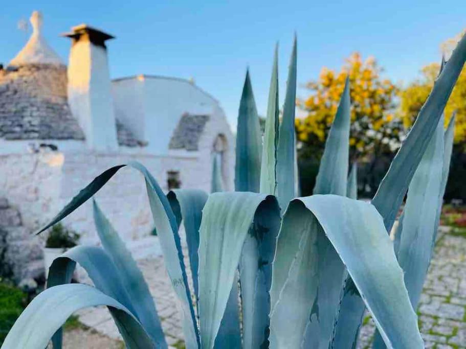 trullo primitivo
