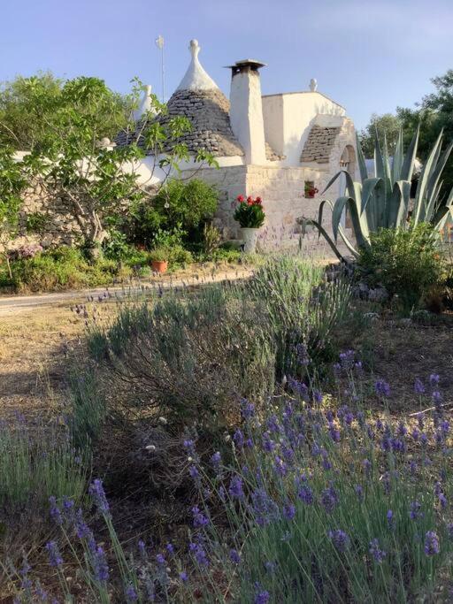 trullo primitivo