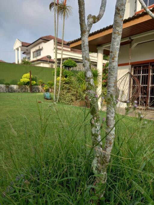2 Bedrooms Villa With Private pool at port dickson view 2