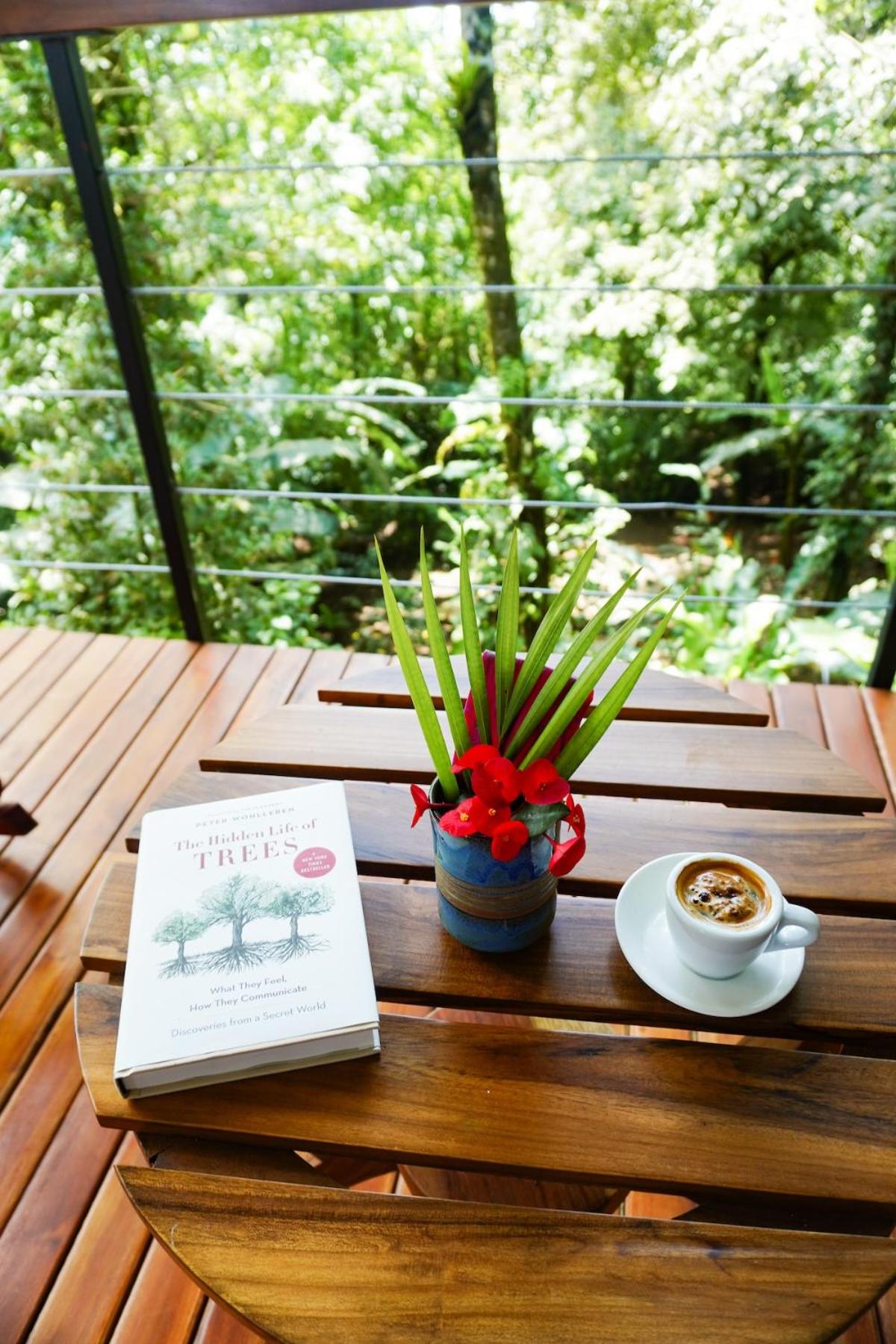 Sueño Río Celeste Boutique B&B