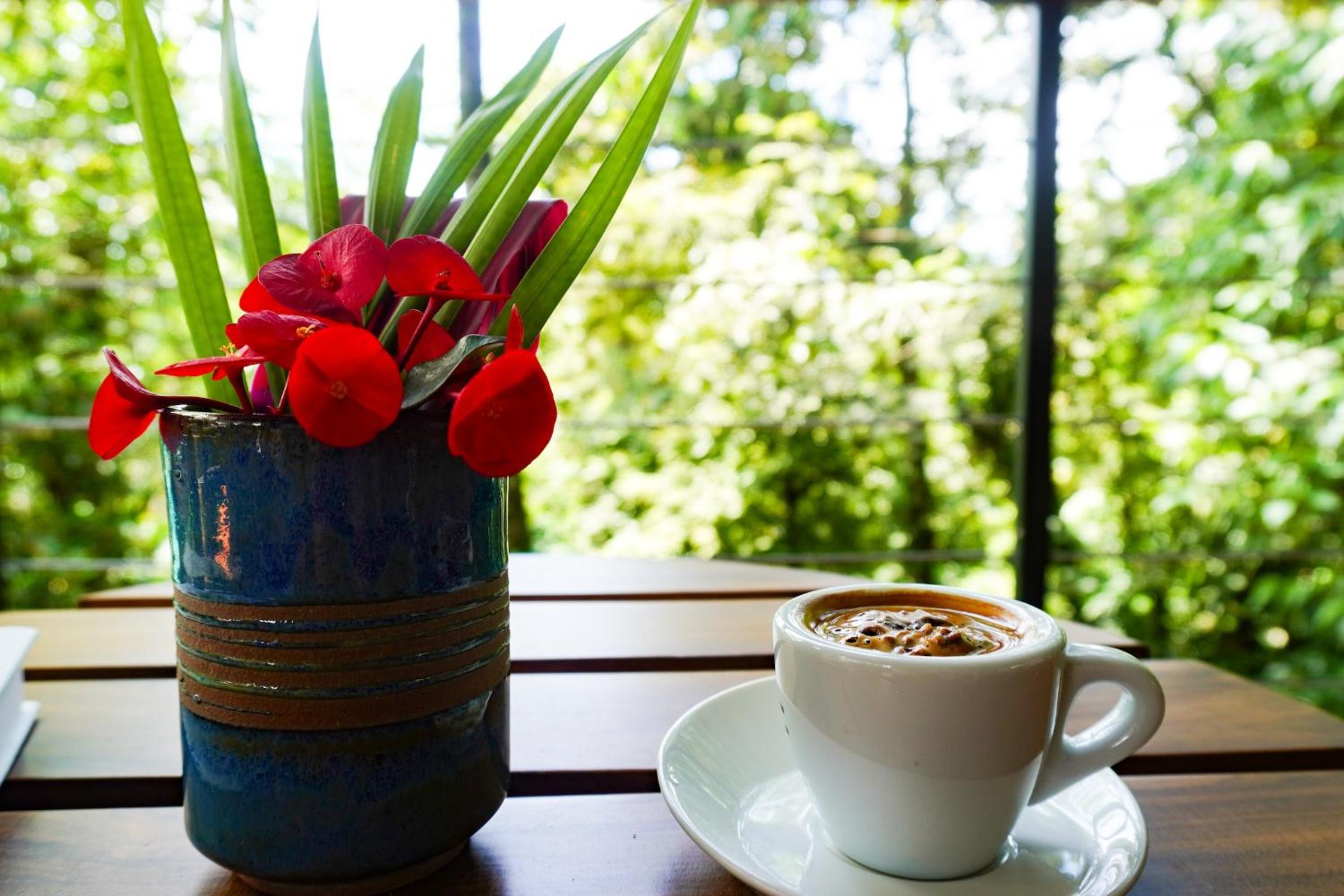Sueño Río Celeste Boutique B&B