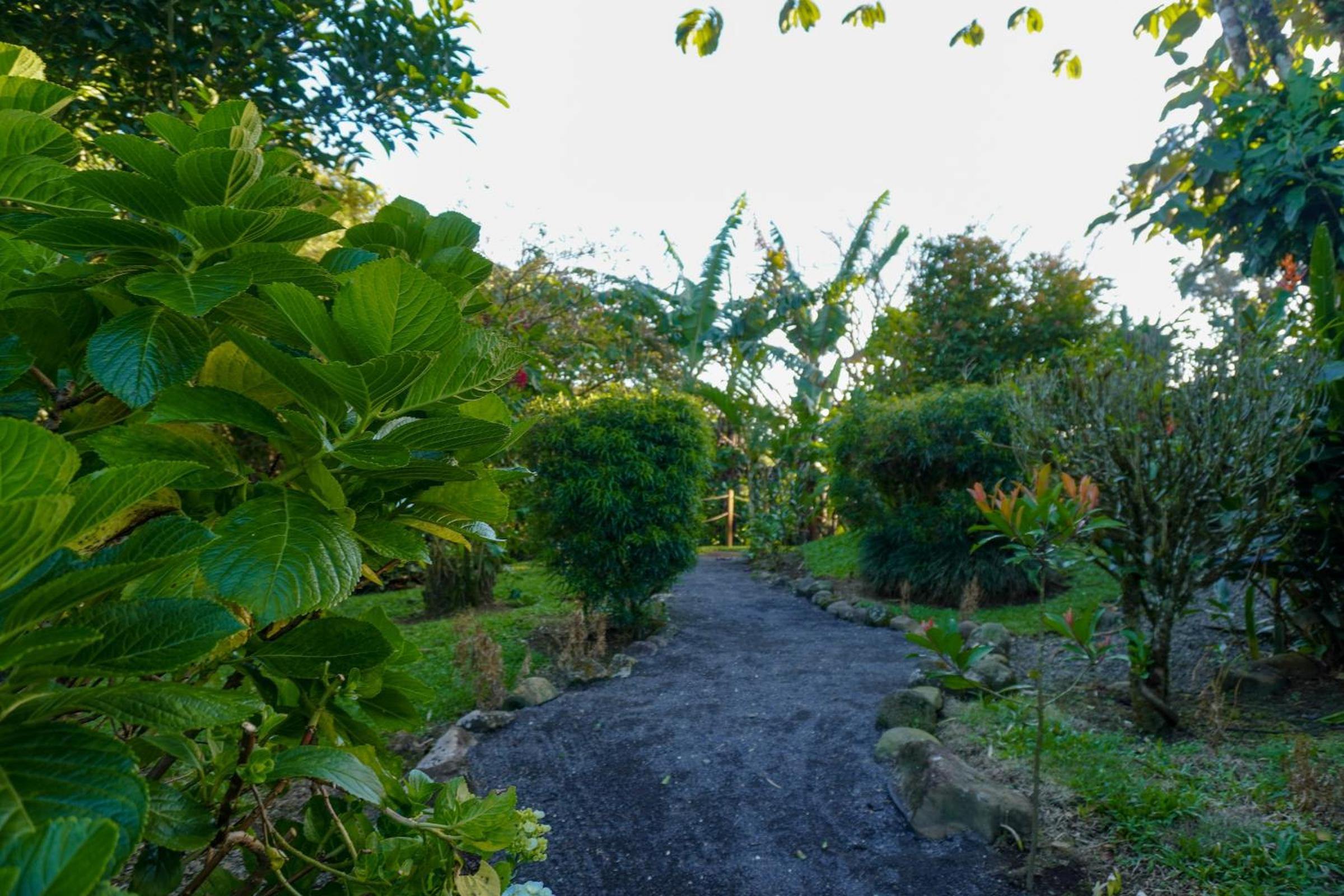 Sueño Río Celeste Boutique B&B