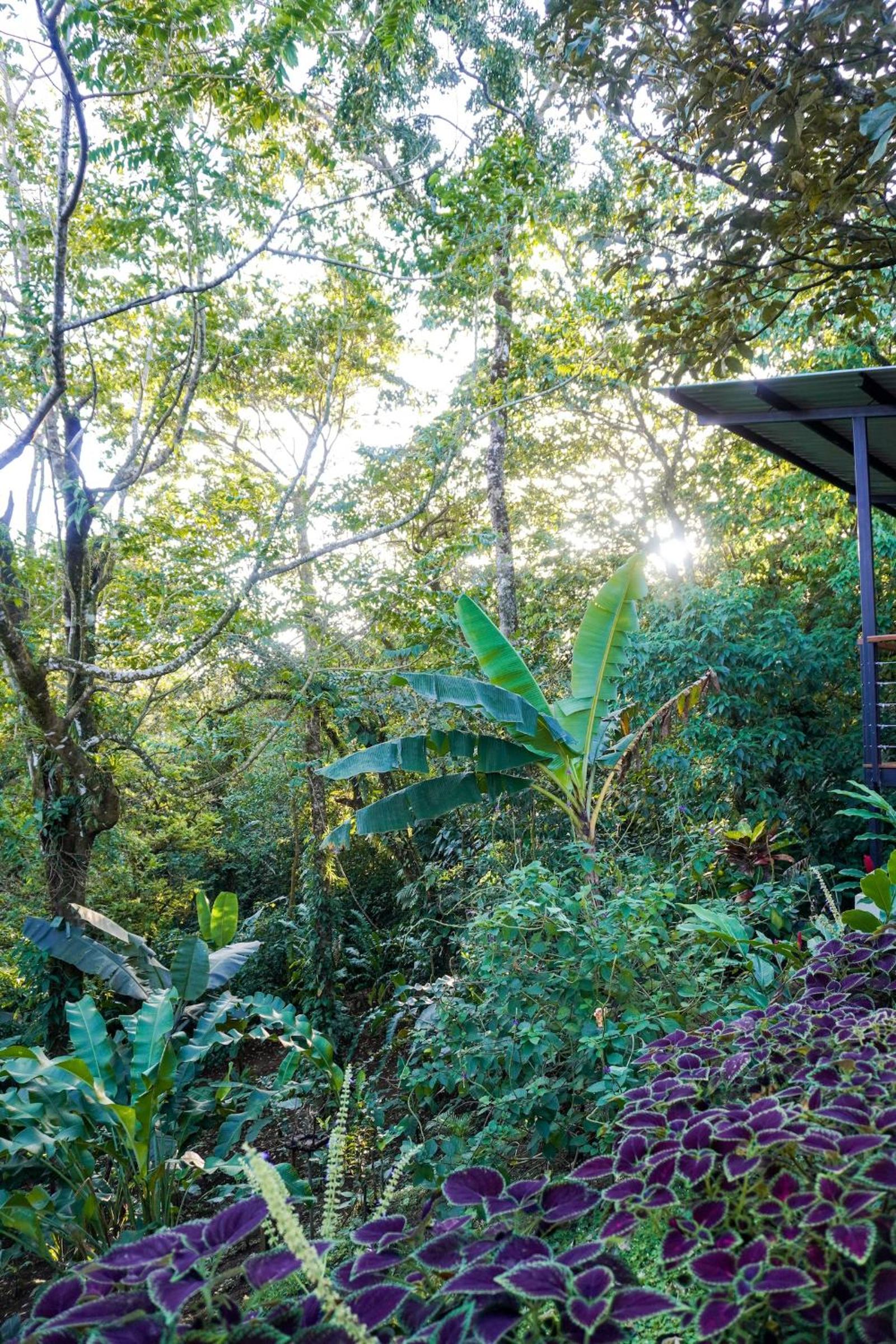 Sueño Río Celeste Boutique B&B