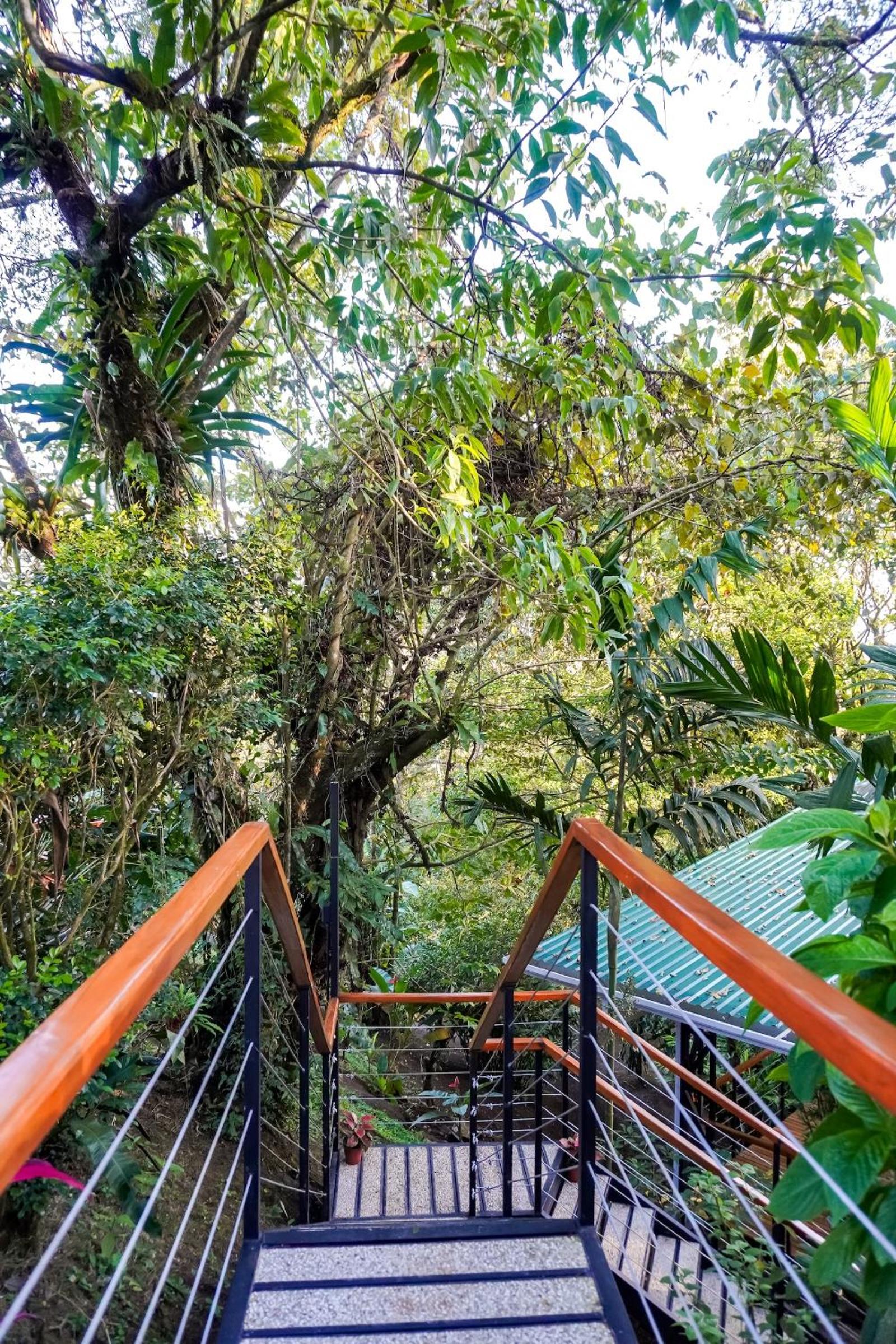 Sueño Río Celeste Boutique B&B