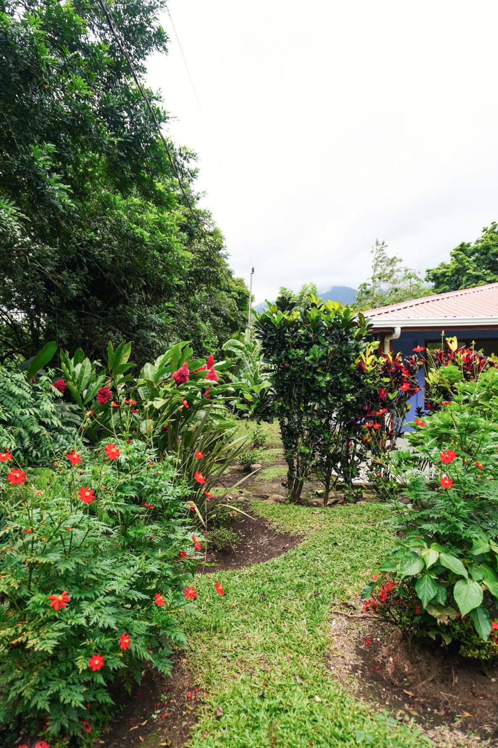 Sueño Río Celeste Boutique B&B