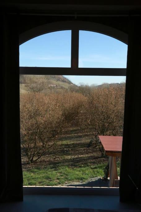 Photo 33