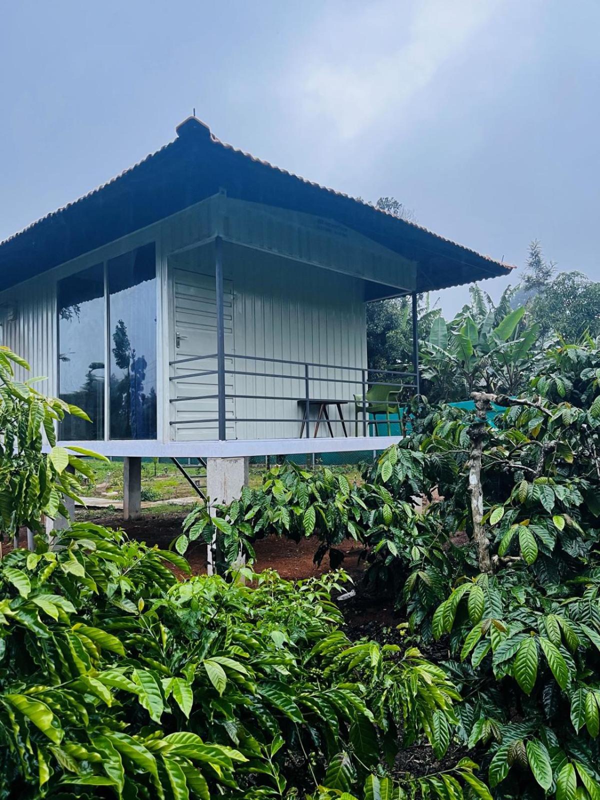 ViGo Homes