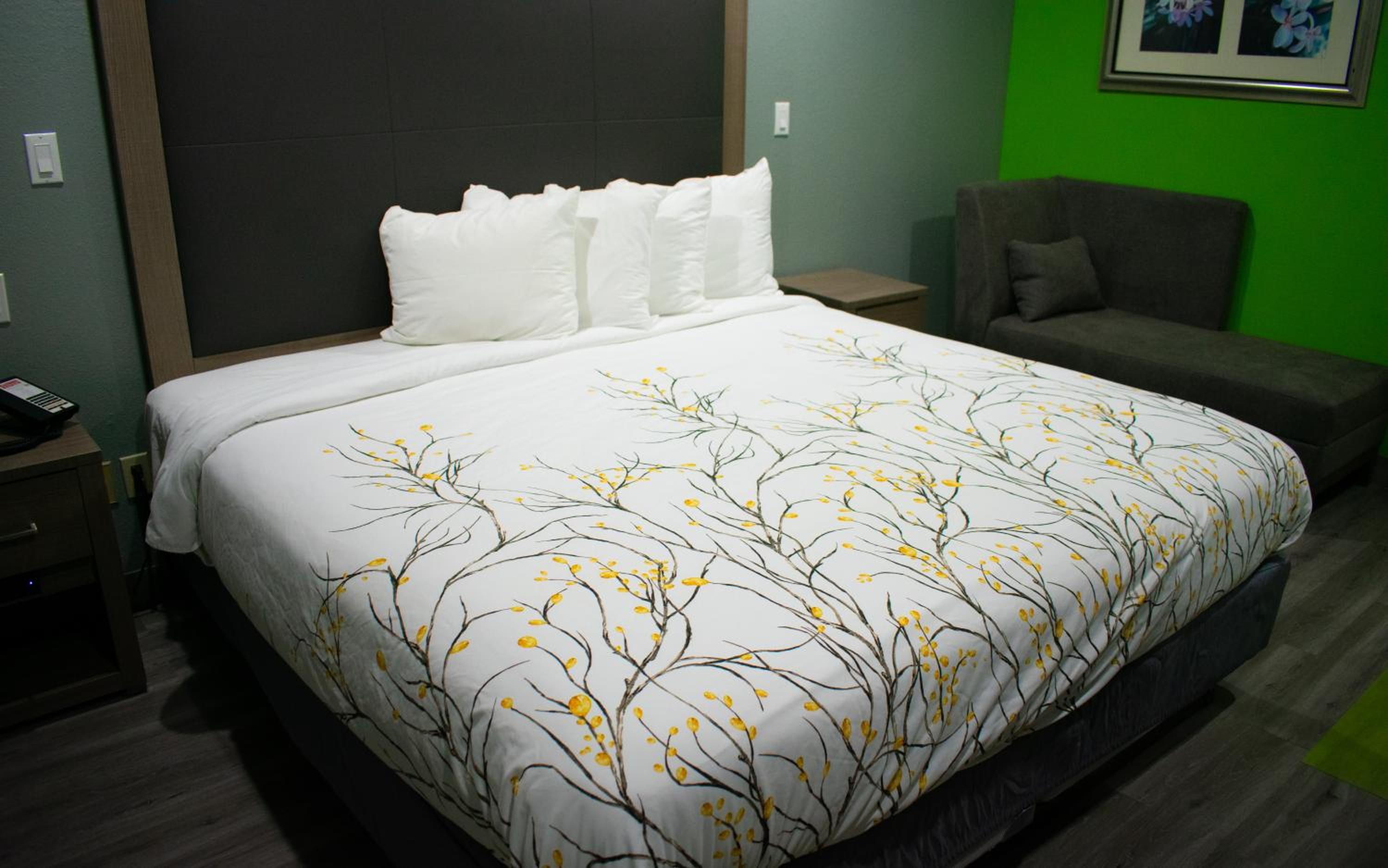 Photo 42