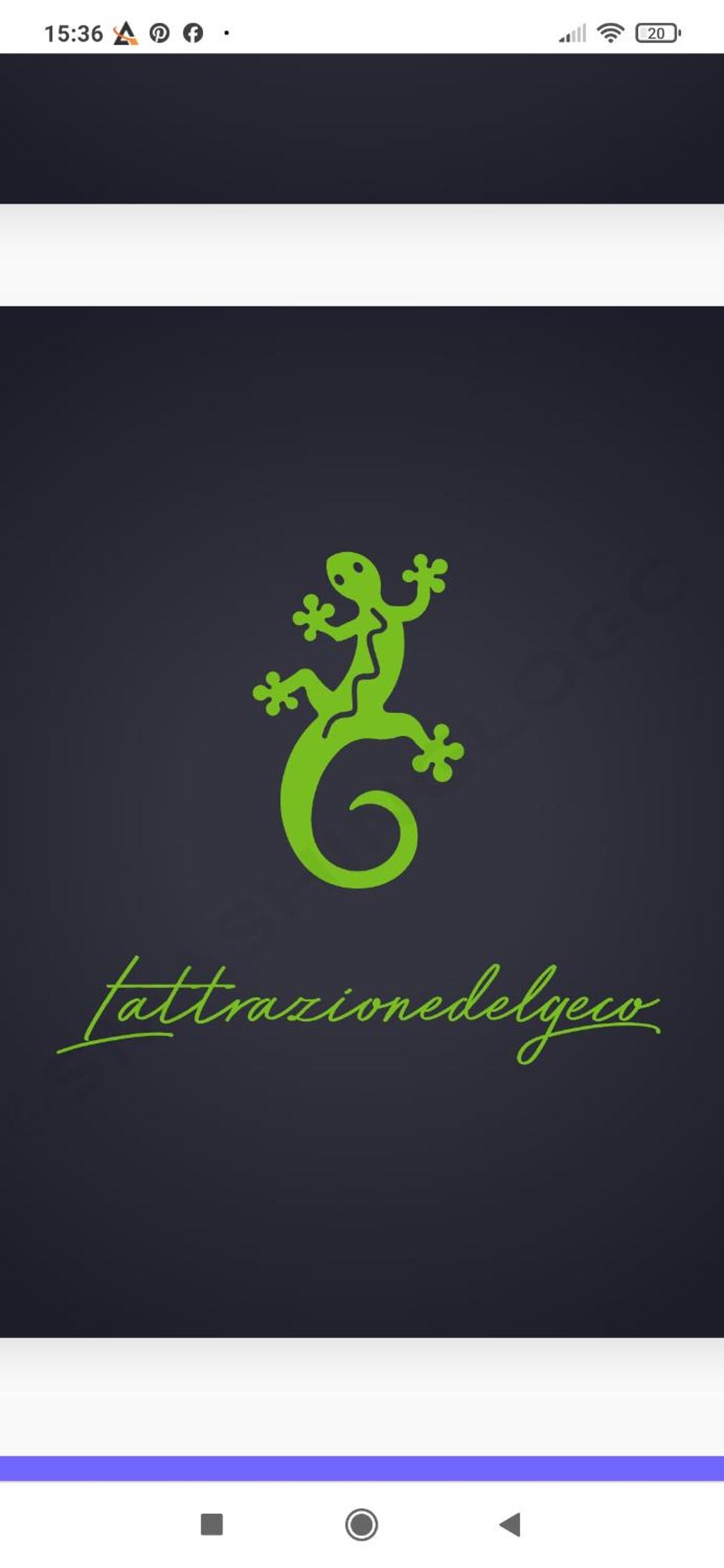 B&B Lattrazionedelgeco