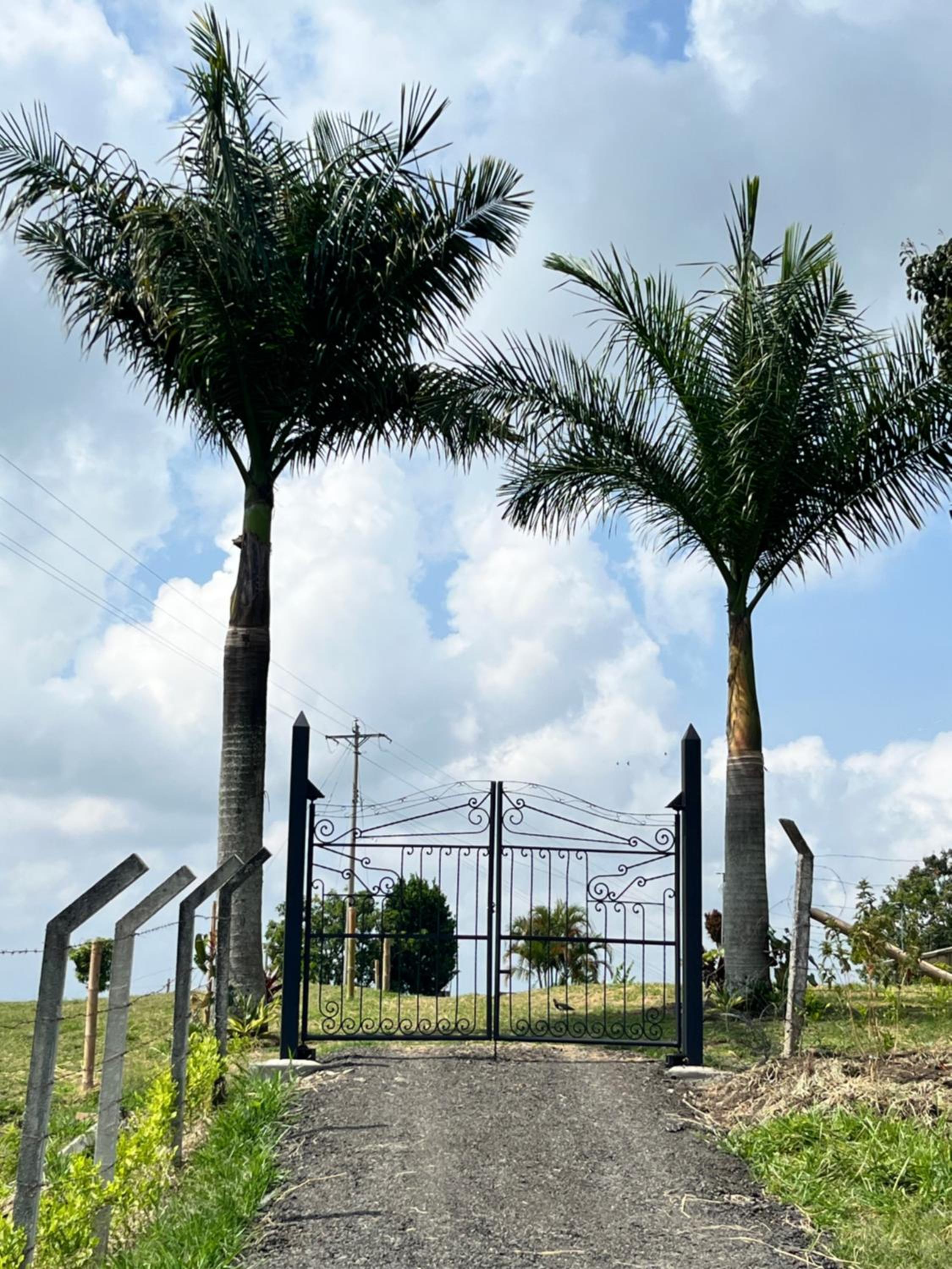Finca La Molienda, espléndido Mirador del Quindio