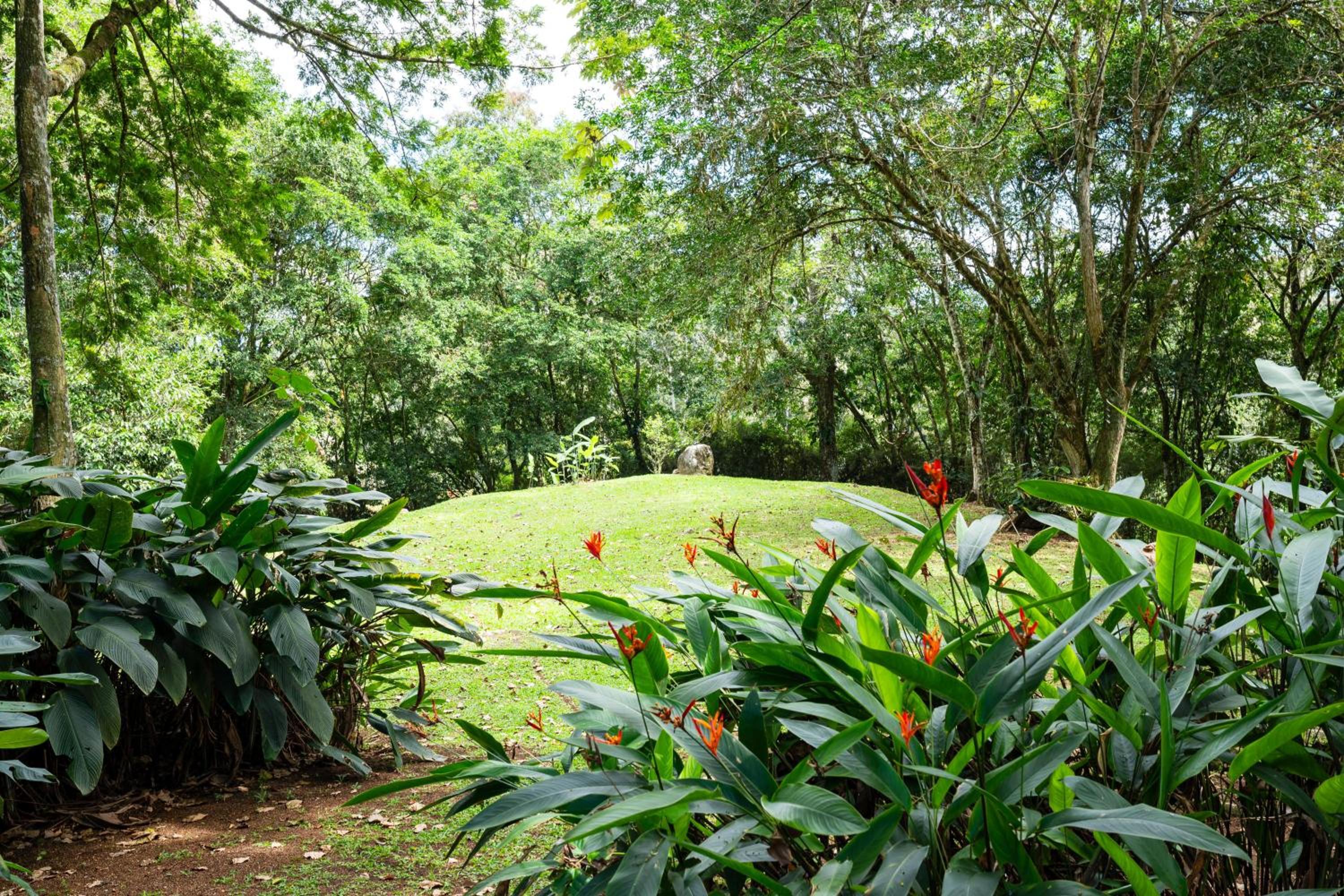 Hospedaje La Naciente