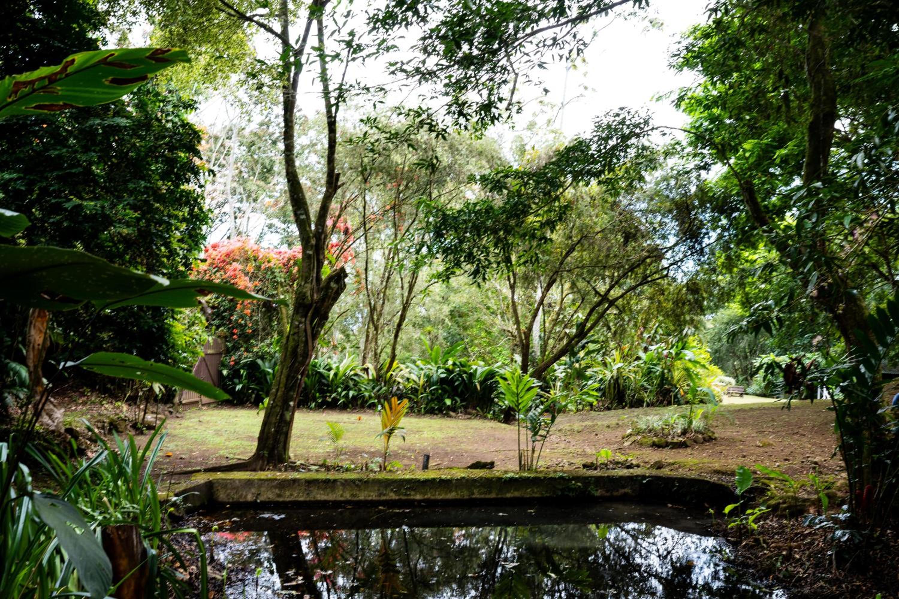 Hospedaje La Naciente