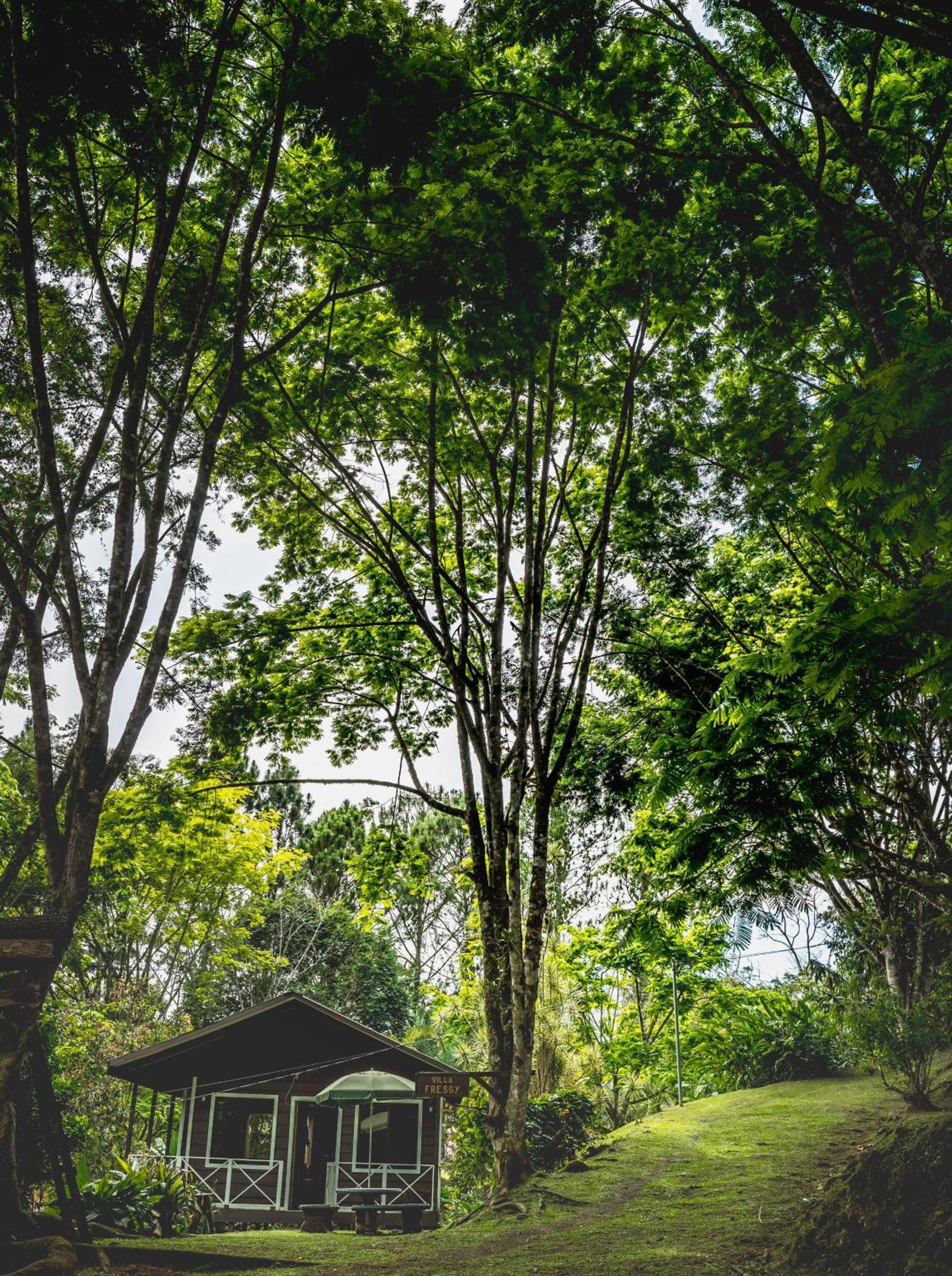 Hospedaje La Naciente