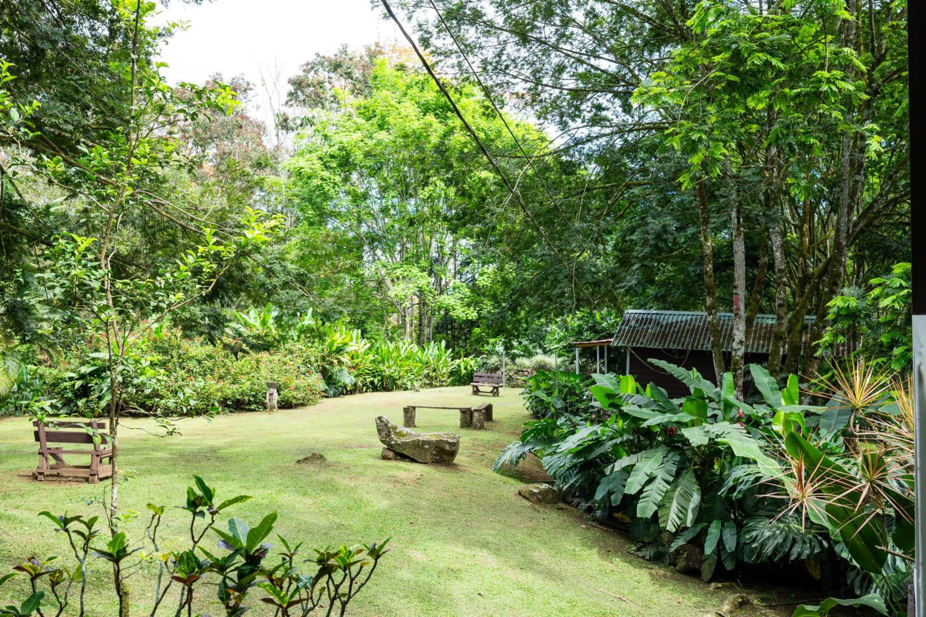 Hospedaje La Naciente