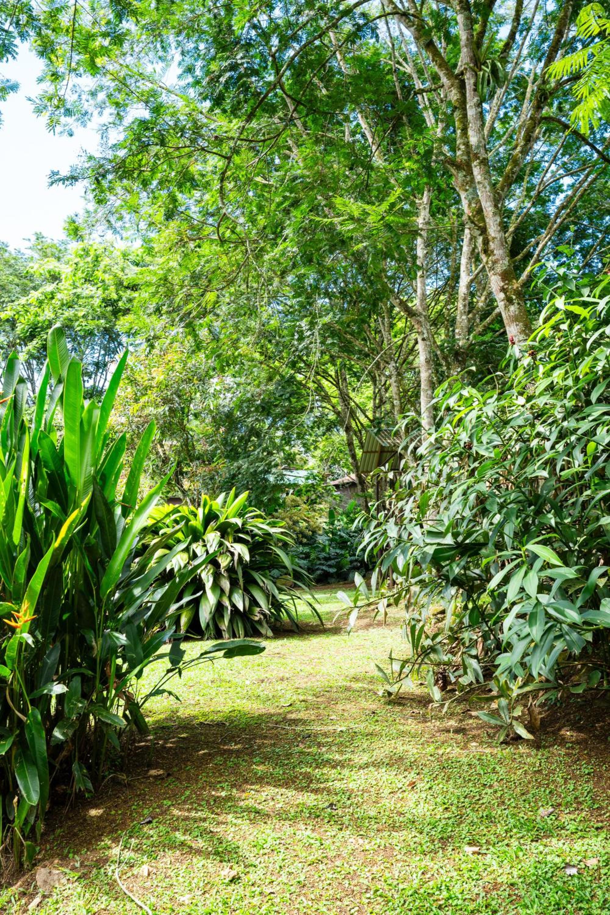 Hospedaje La Naciente