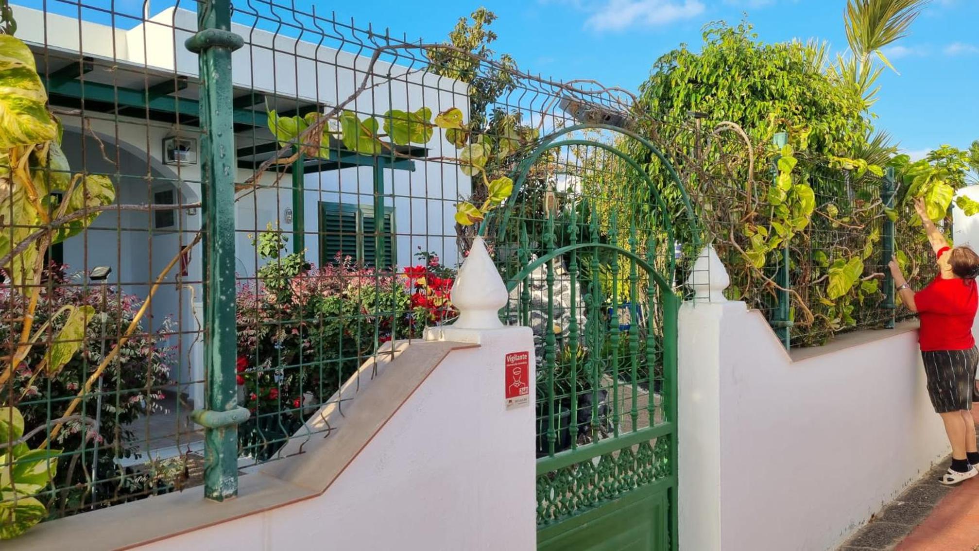Apartamento Bungalows Isabel Maria