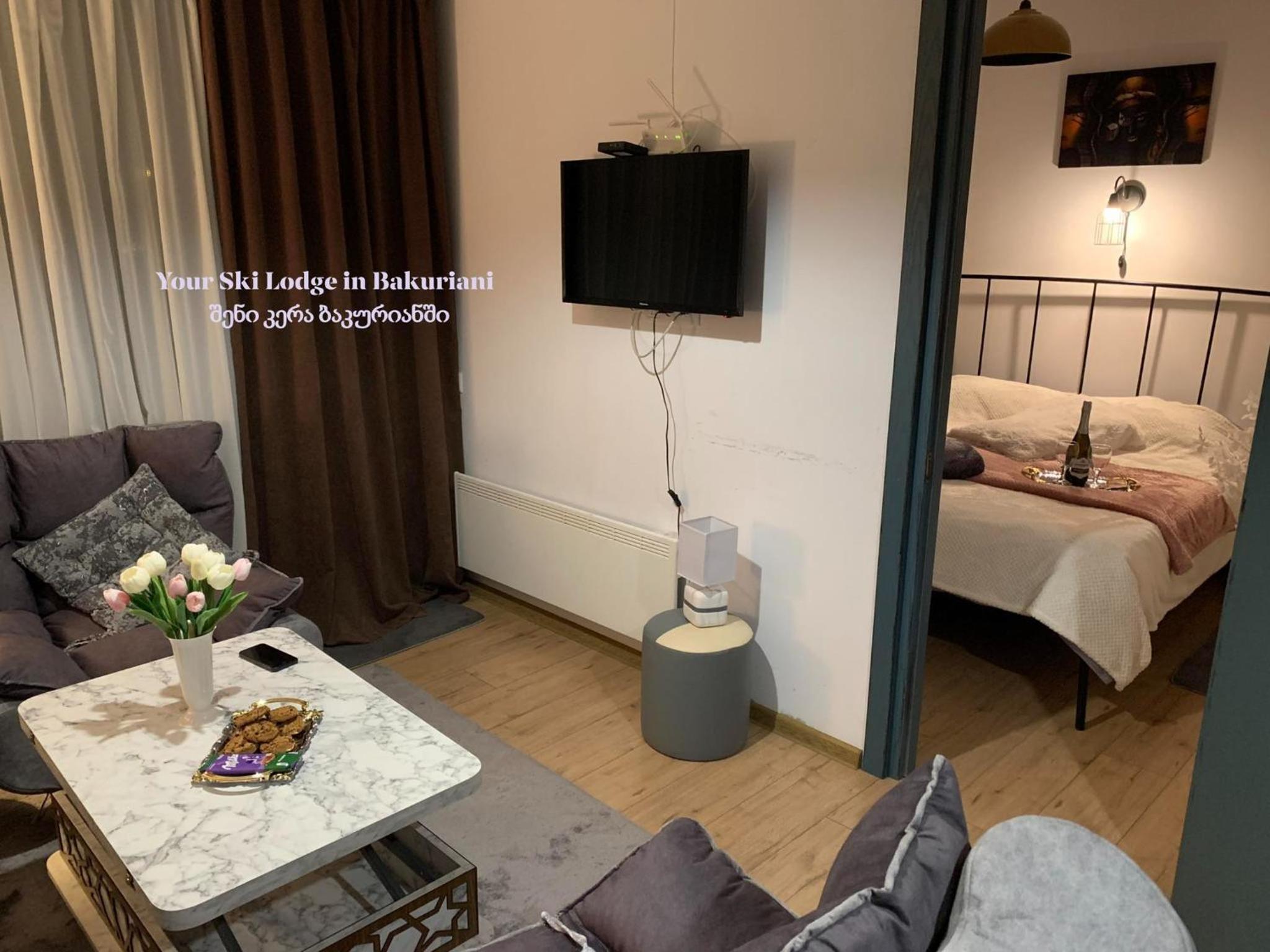 ART Apart Hotel Bakuriani Room #208 view 4
