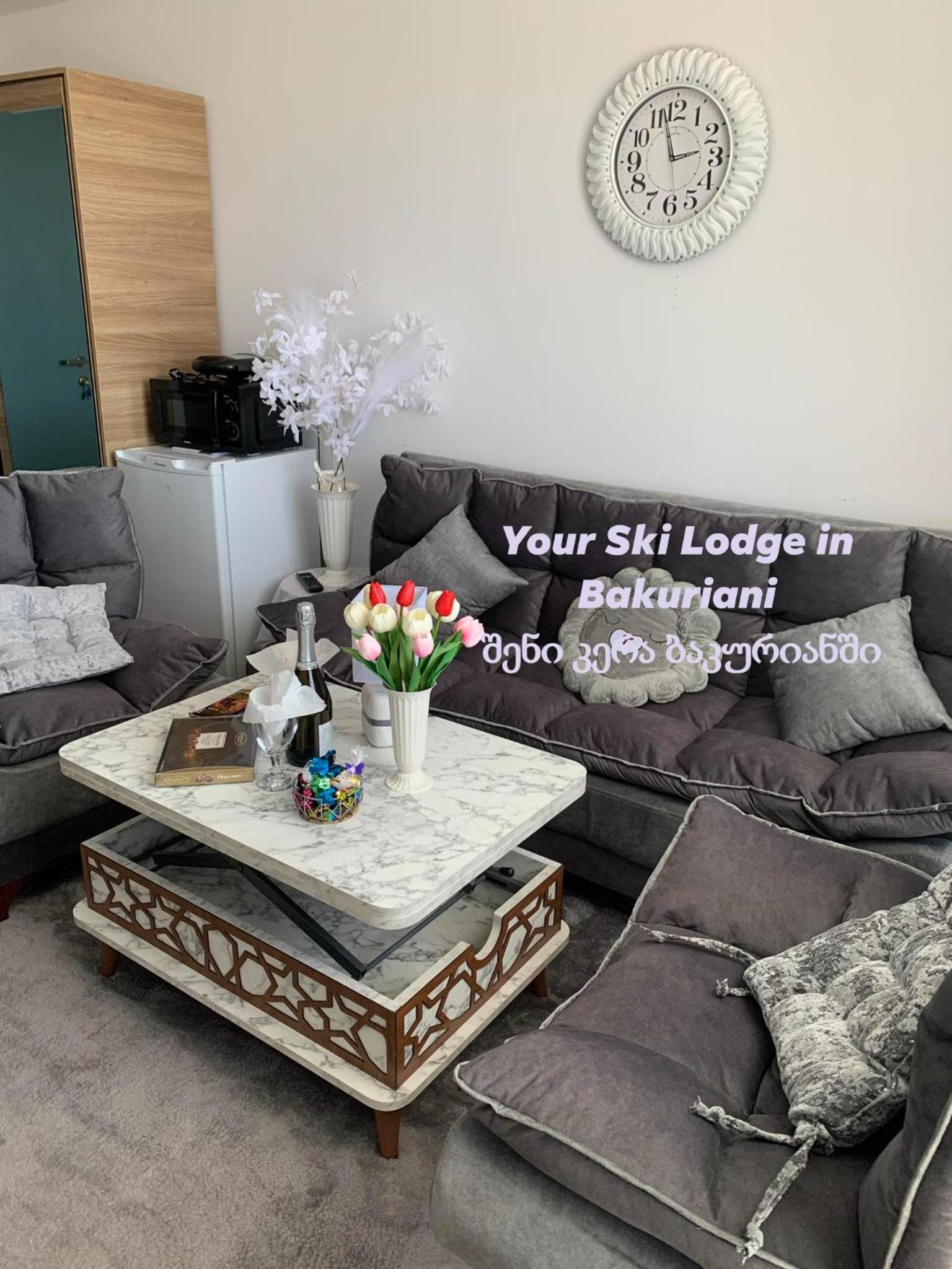 ART Apart Hotel Bakuriani Room #208 view 3