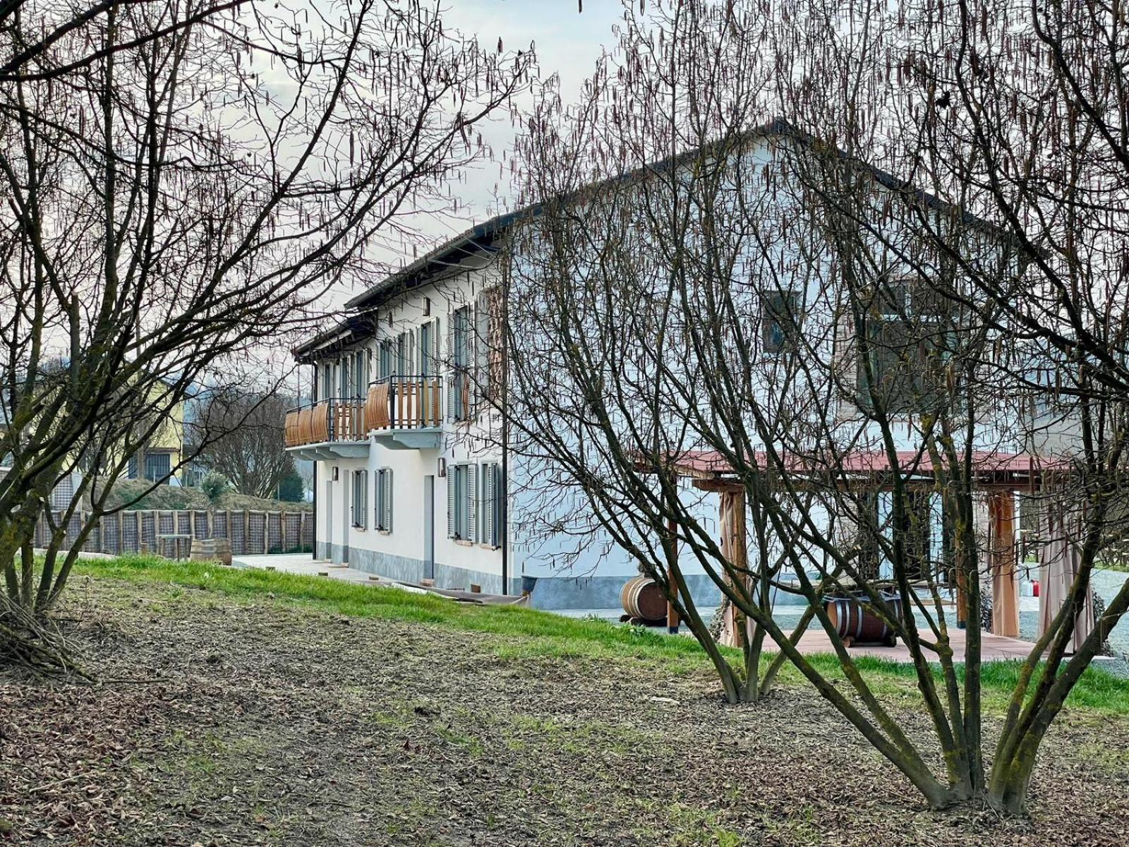 Photo 45