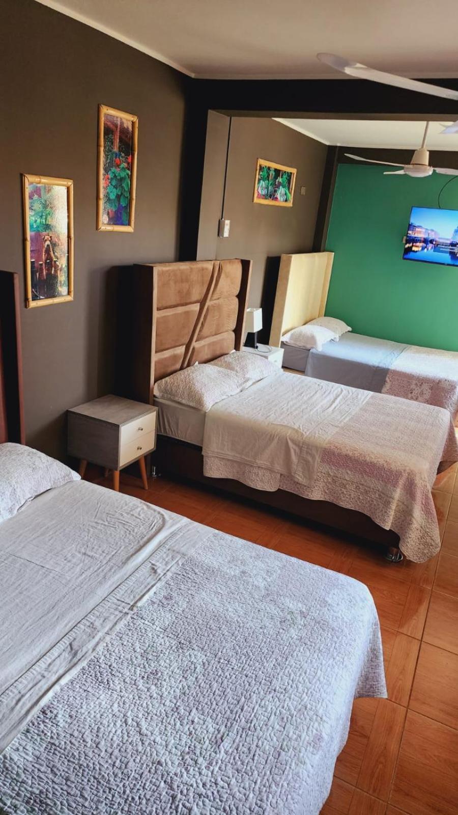 La Casa de Bamboo