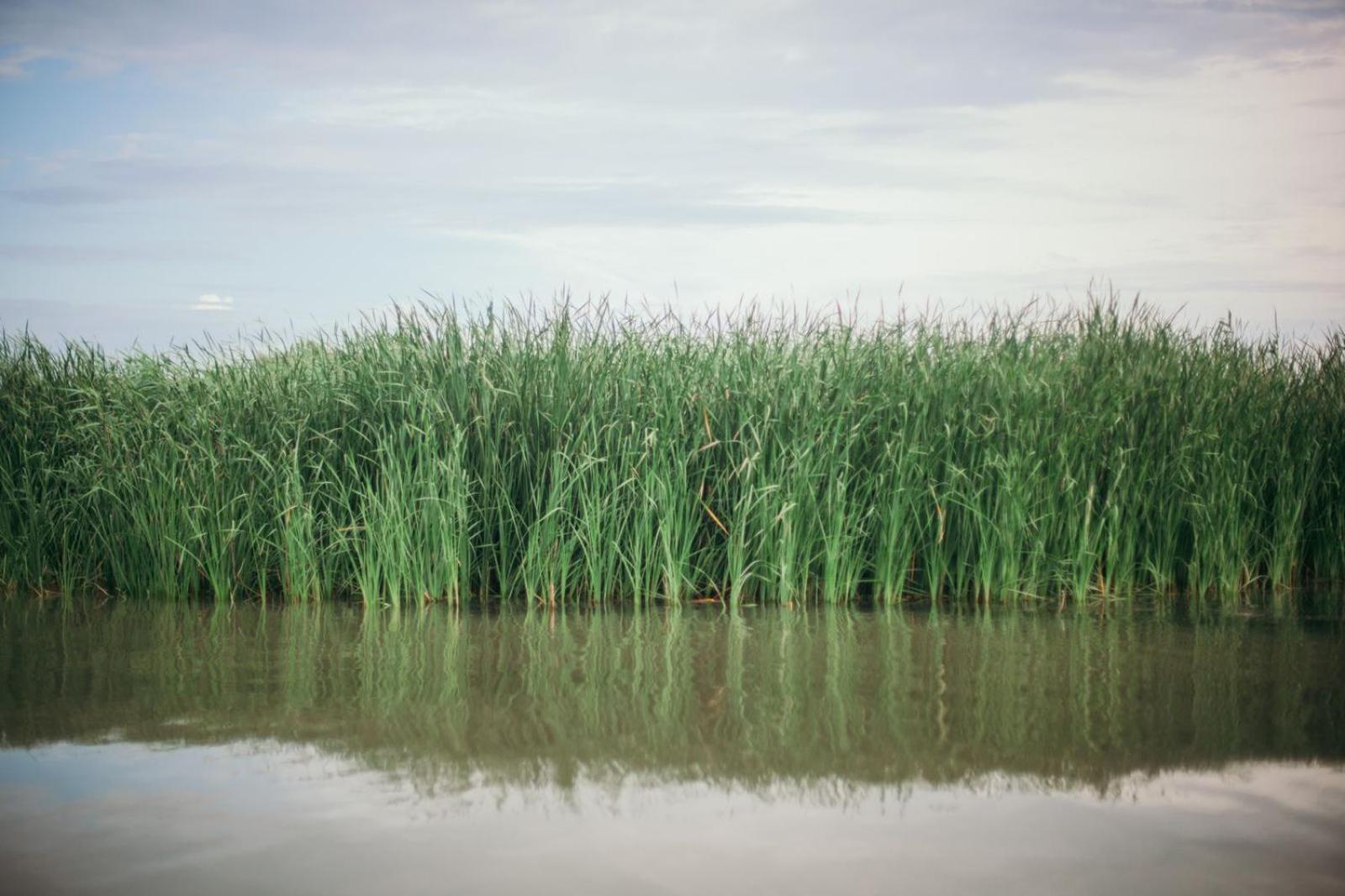 Bivoac Holiday Home in the Danube Delta