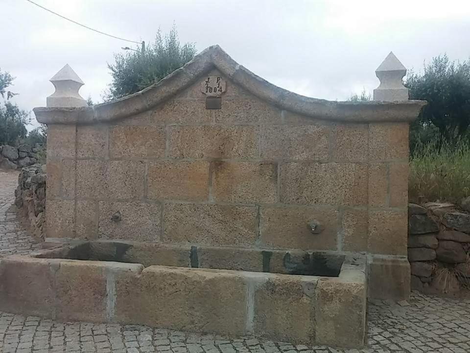 Photo 29