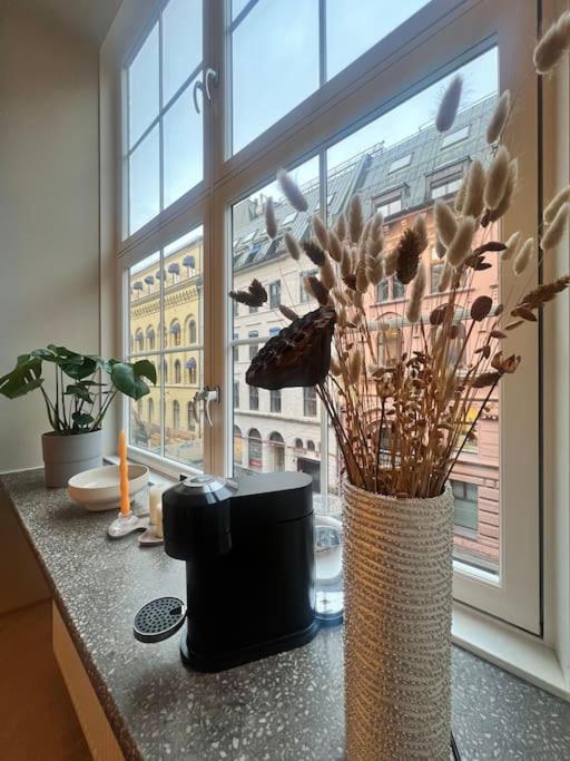 Koselig leilighet i sentrum av OSLO med byutsikt! view 5