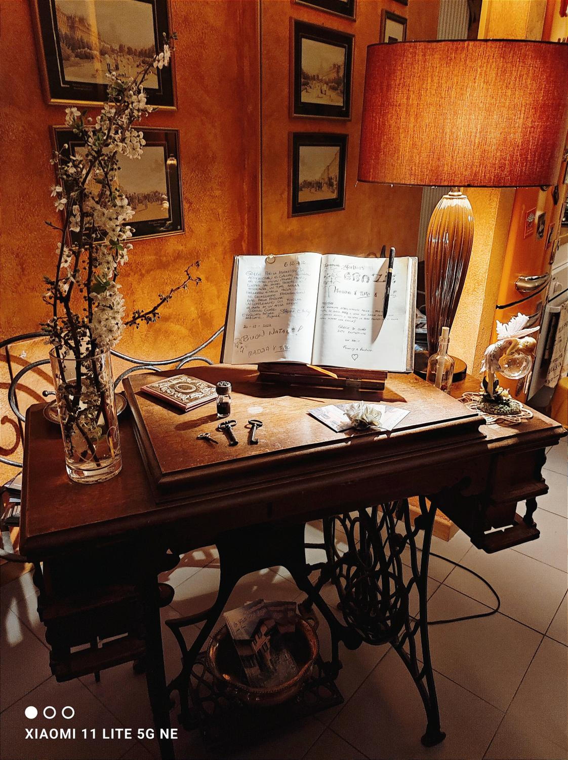 Photo 7