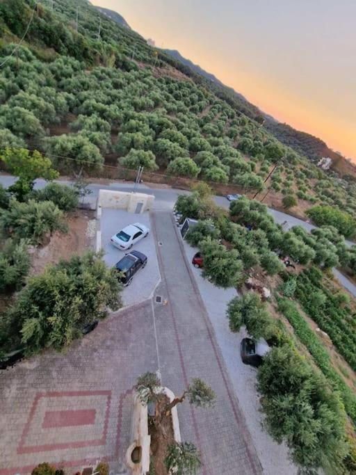Olive Grove Apartment