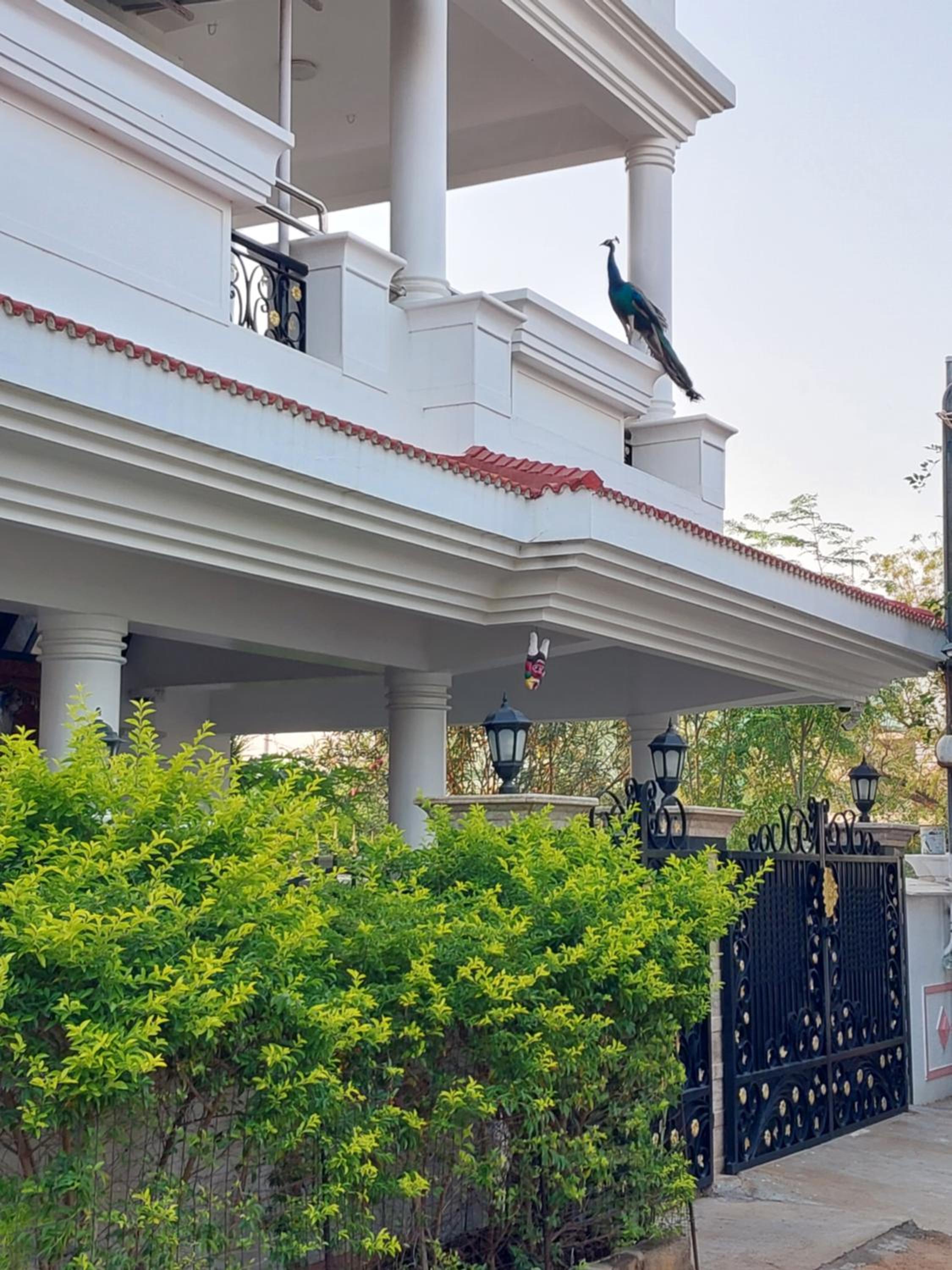 Shri Sai Baba Homestay - EB Colony - Trichy view 3