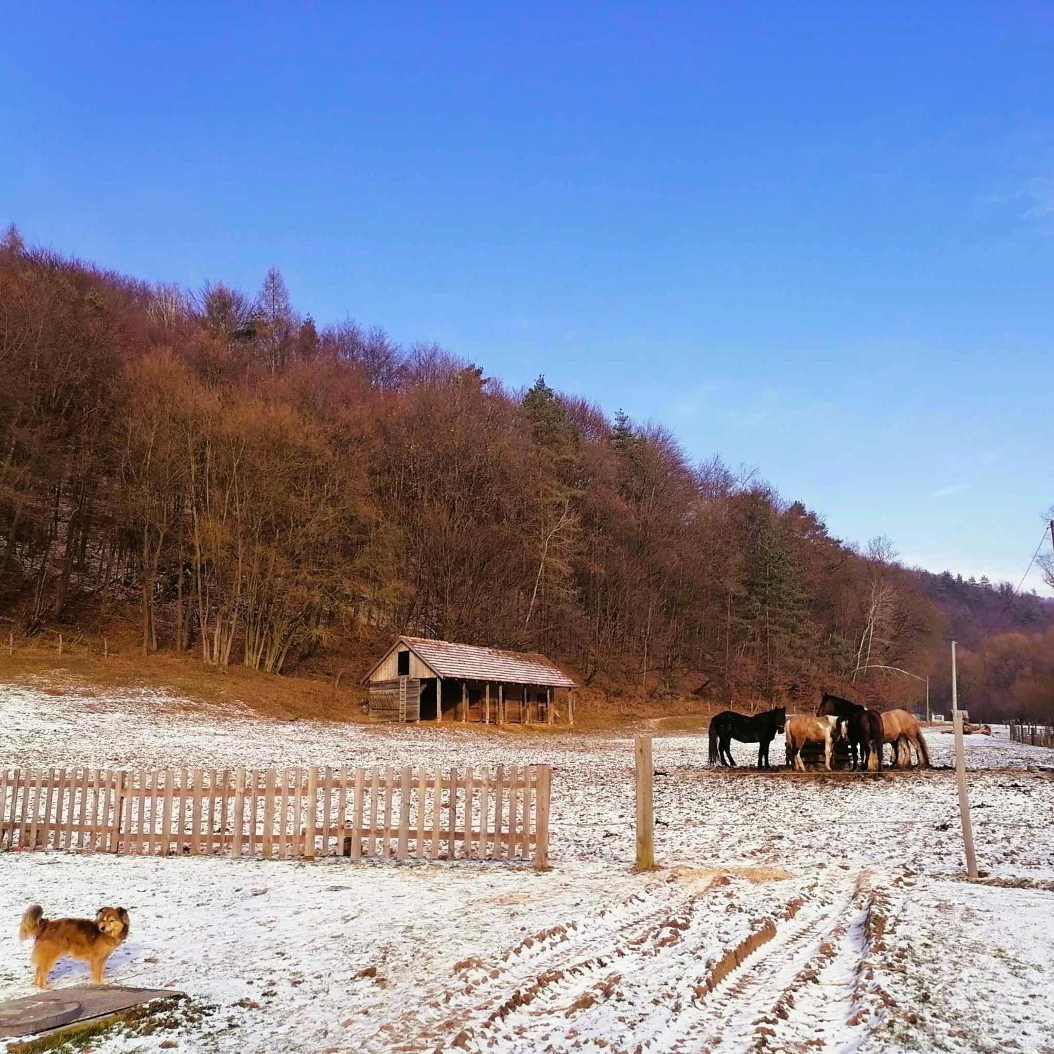 Oddychový pobyt na rodinnej farme view 4