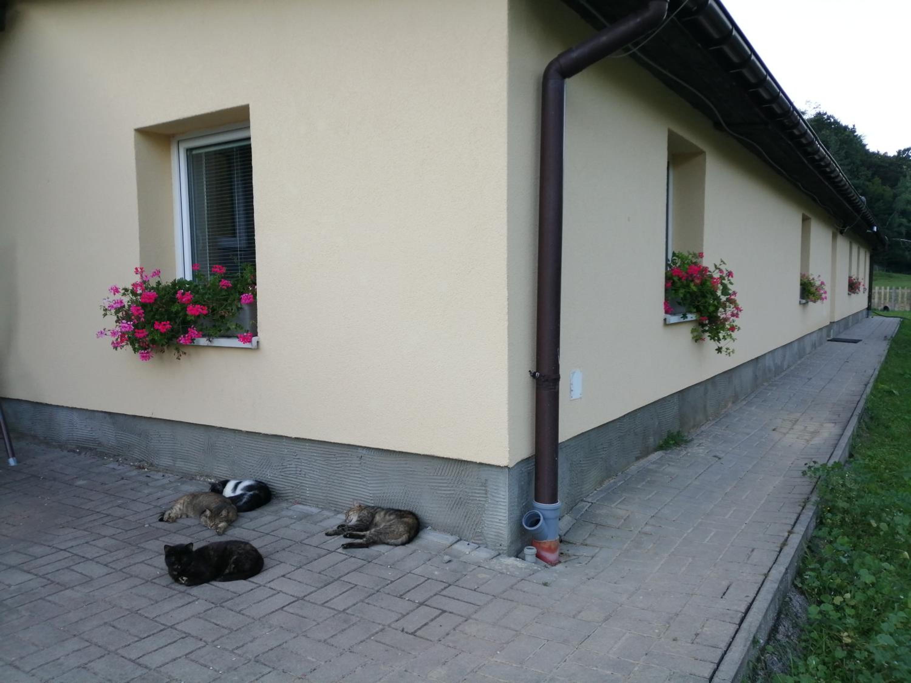 Oddychový pobyt na rodinnej farme view 5