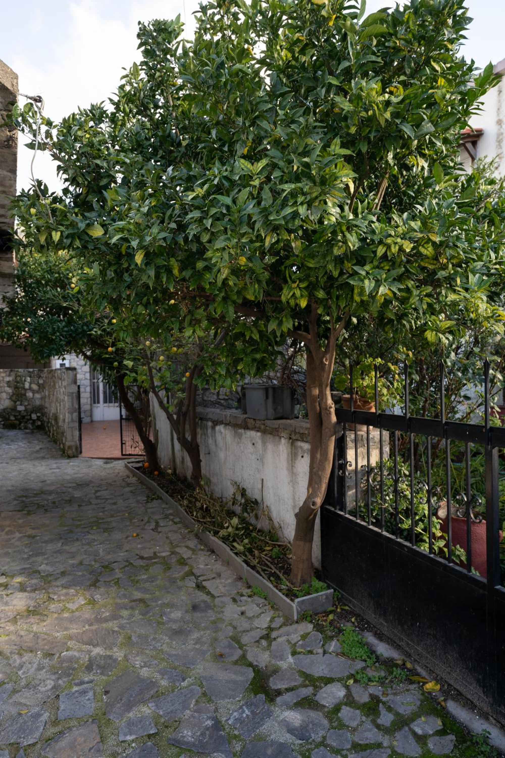 Guest house Anastazia
