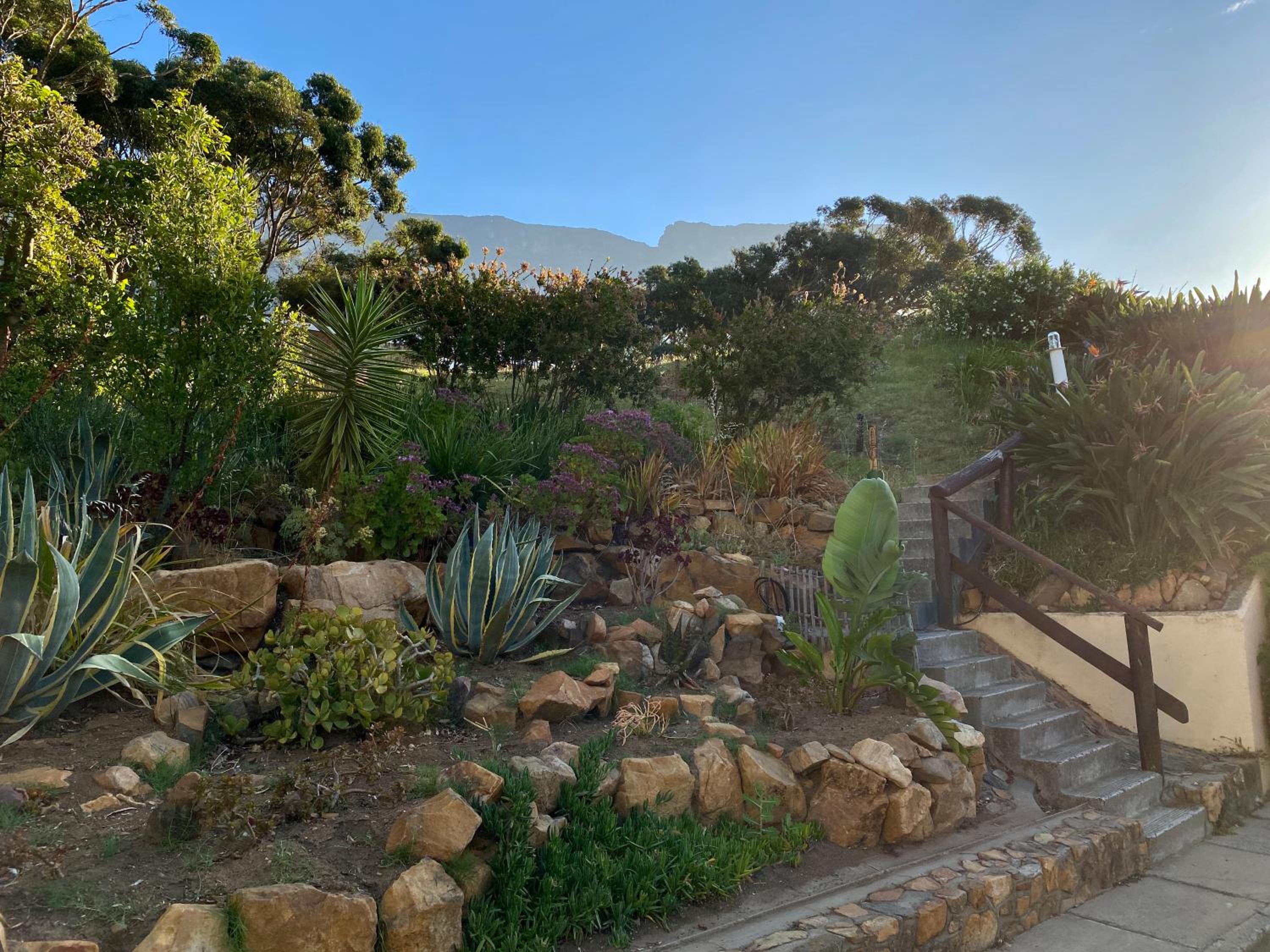 Panoramic City and Harbour Views with Pool, Fibre Internet and Secure Parking view 2
