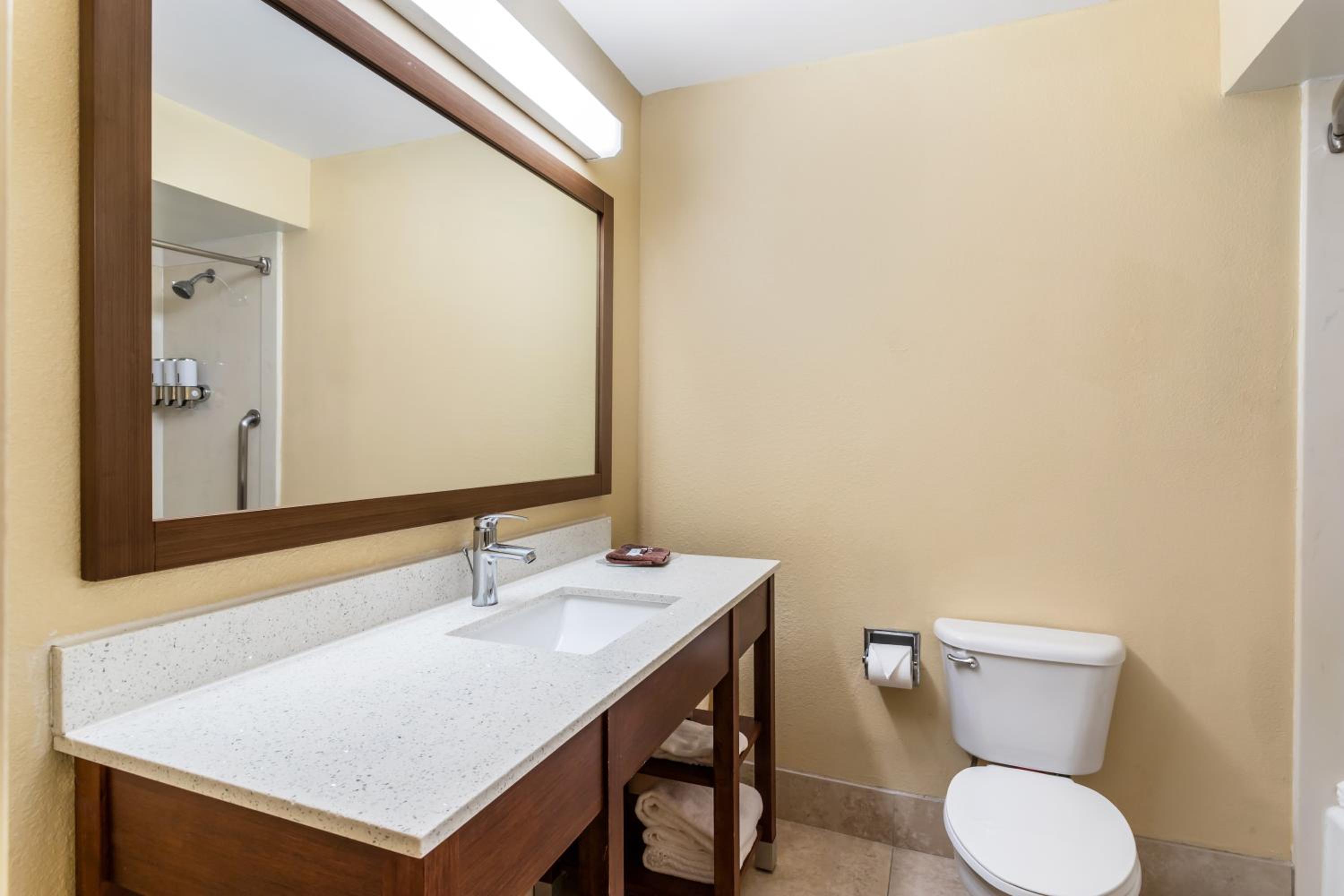 Comfort Suites Bush Intercontinental Airport - Property Image 24