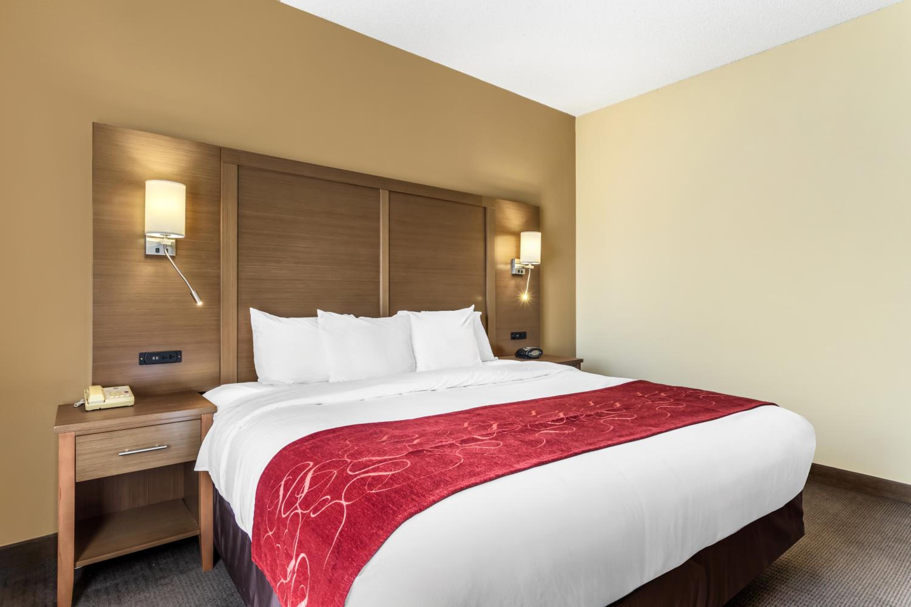 Comfort Suites Bush Intercontinental Airport - Property Image 12